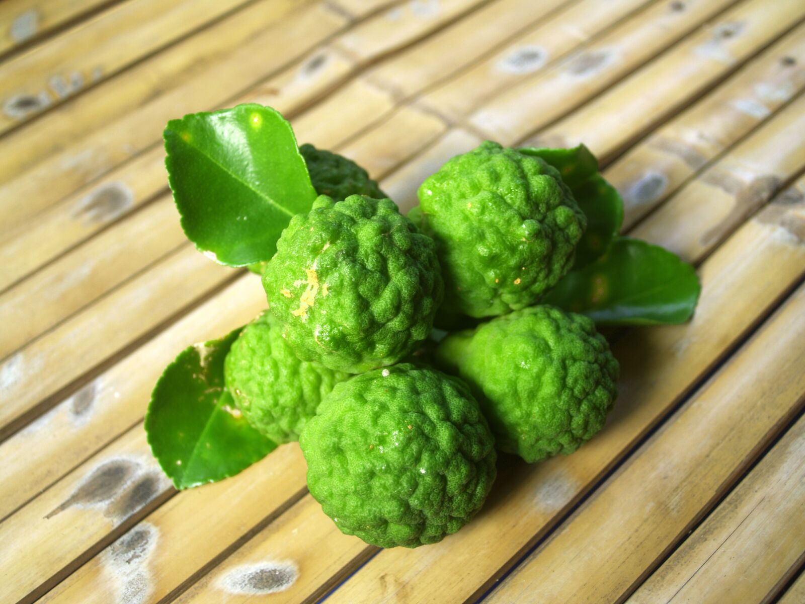 Olympus E-300 (EVOLT E-300) sample photo. Bergamot, fruit, leaf photography