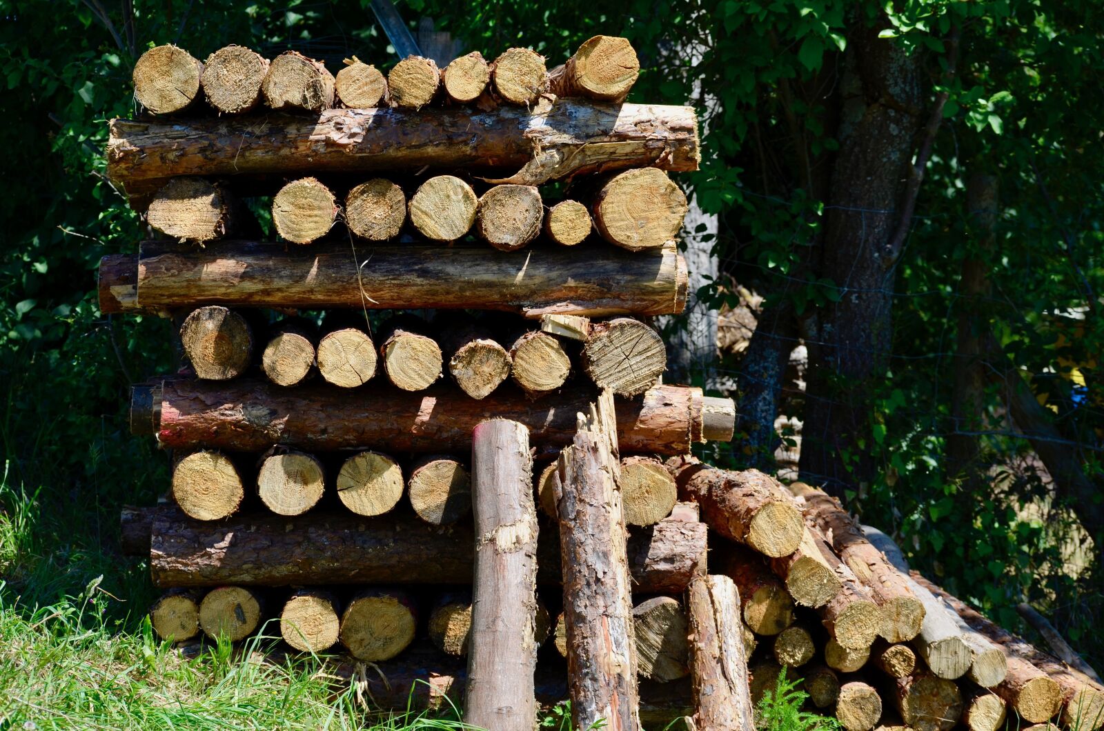 Nikon D5100 sample photo. Firewood, stack, holzstapel photography