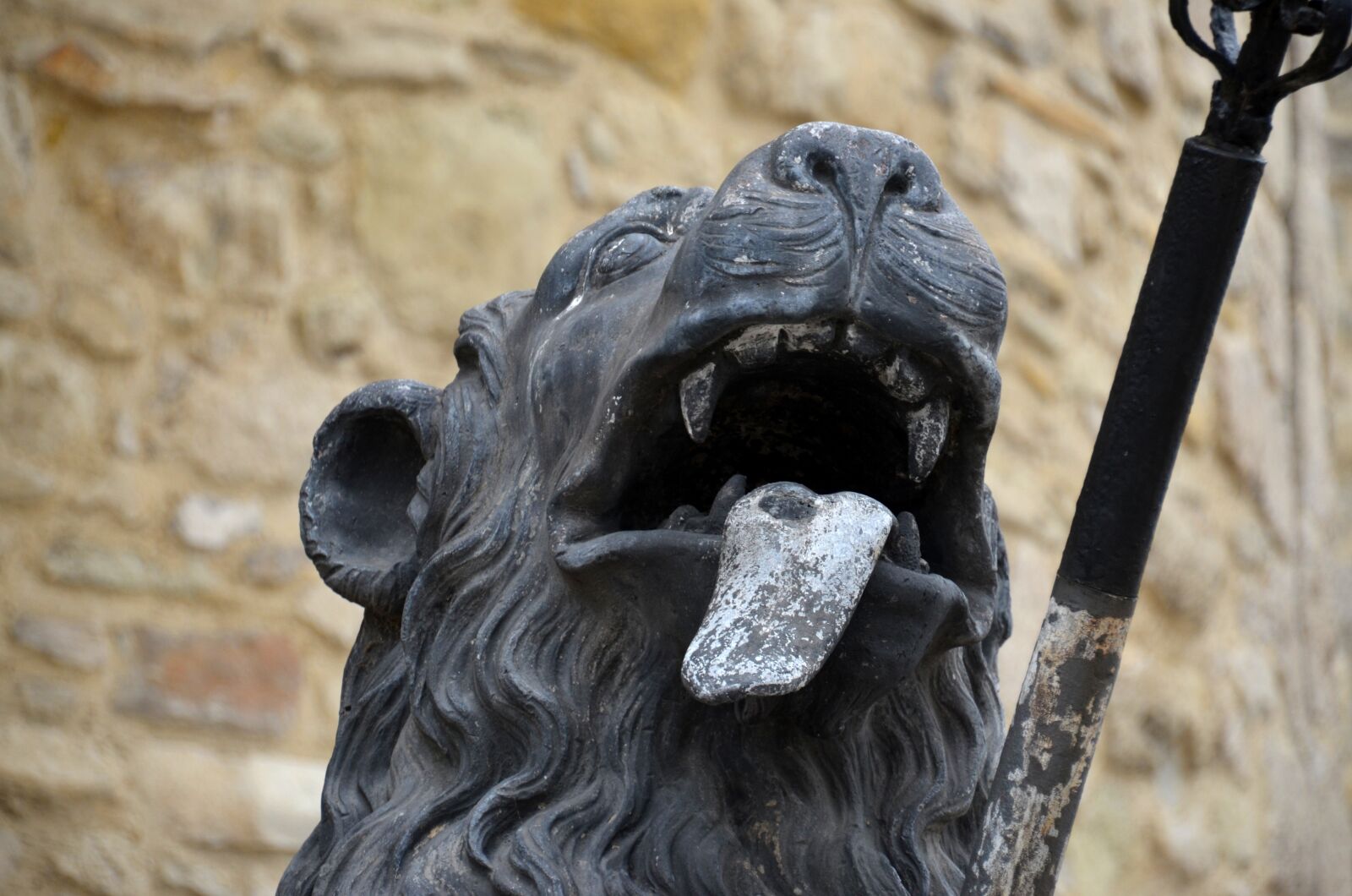 Nikon D5100 sample photo. Lion, sculpture, tongue photography