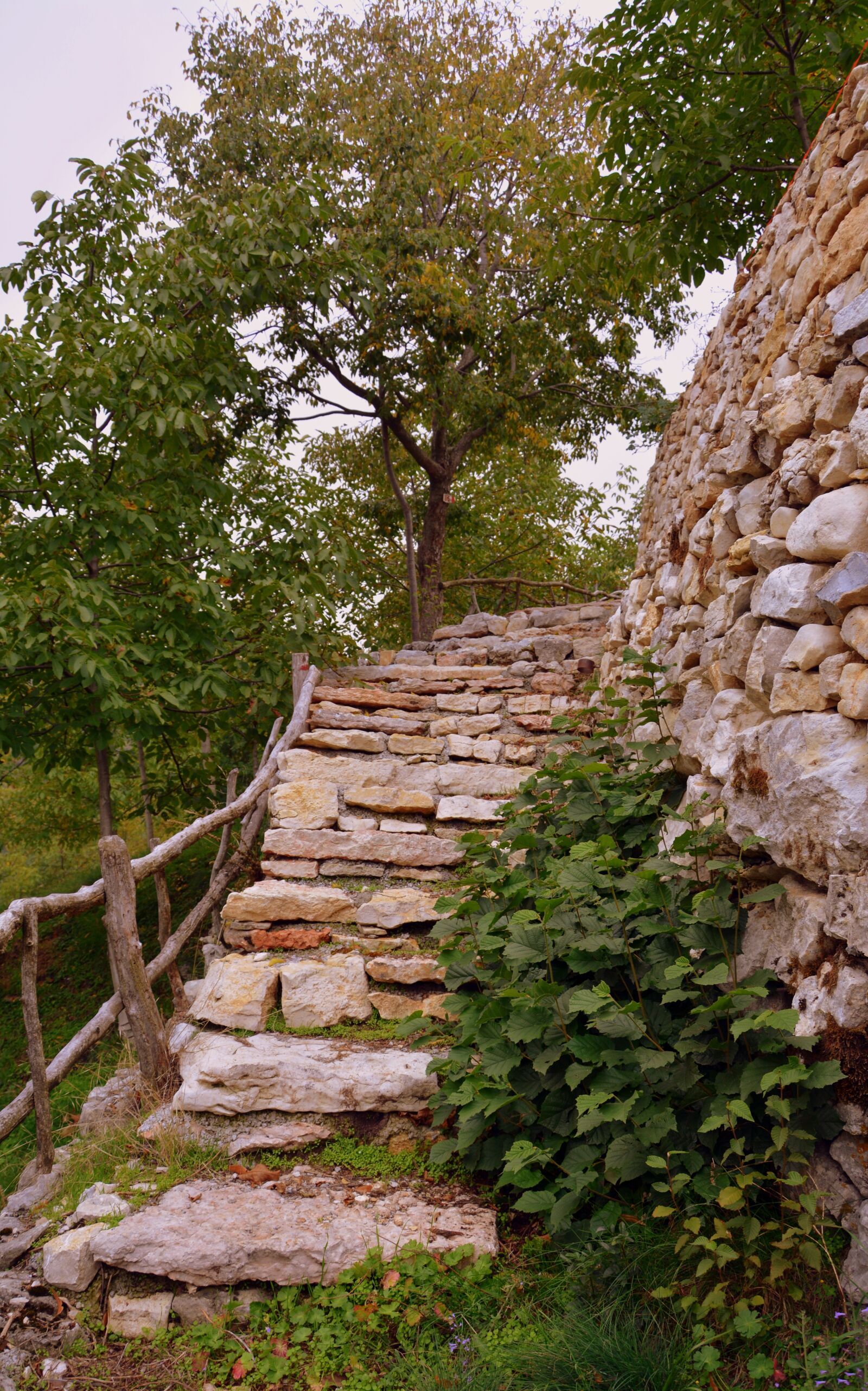 Nikon D7100 sample photo. Climb, scale, stone photography