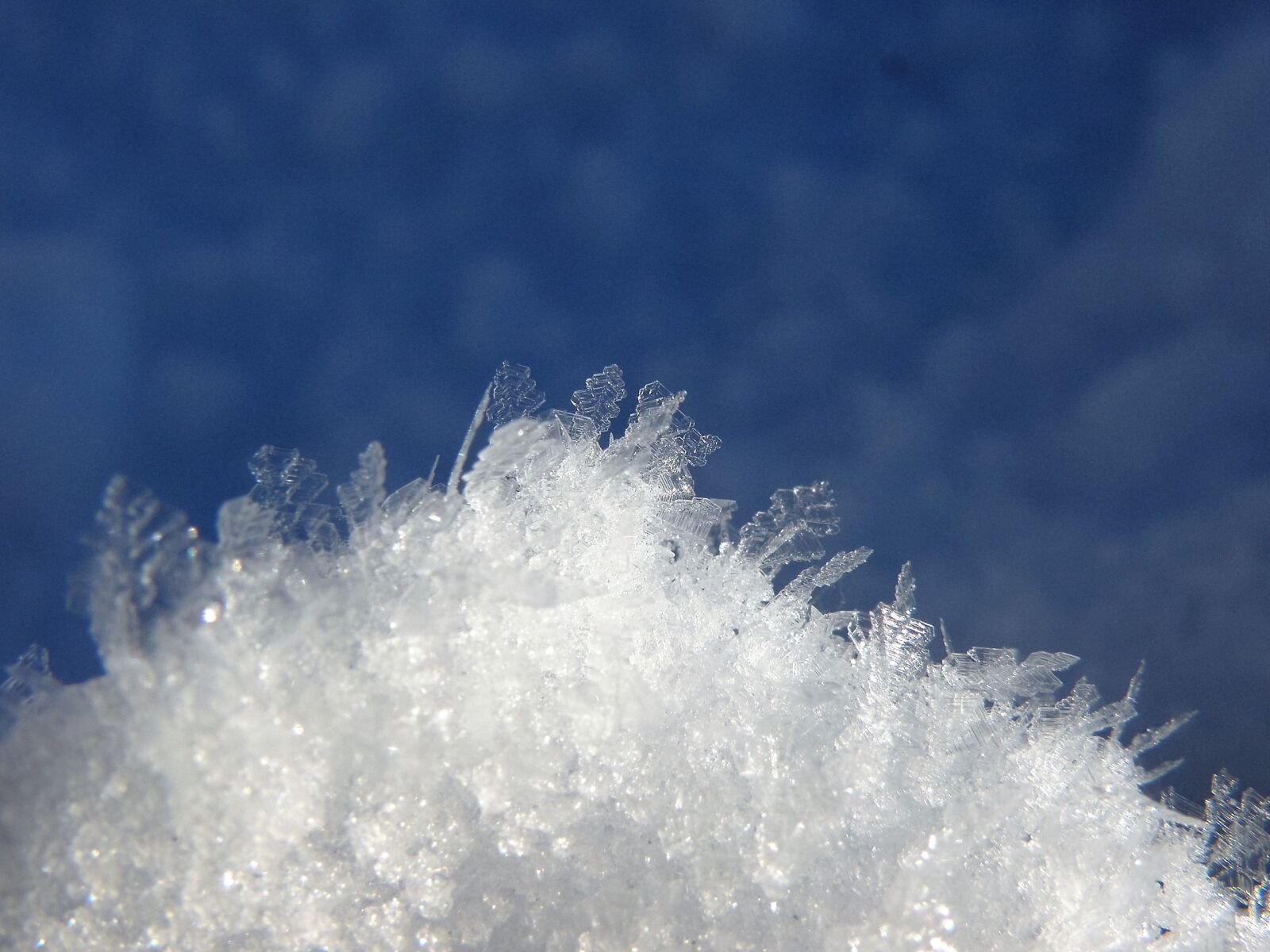 Olympus SP570UZ sample photo. Snow, ice, winter photography