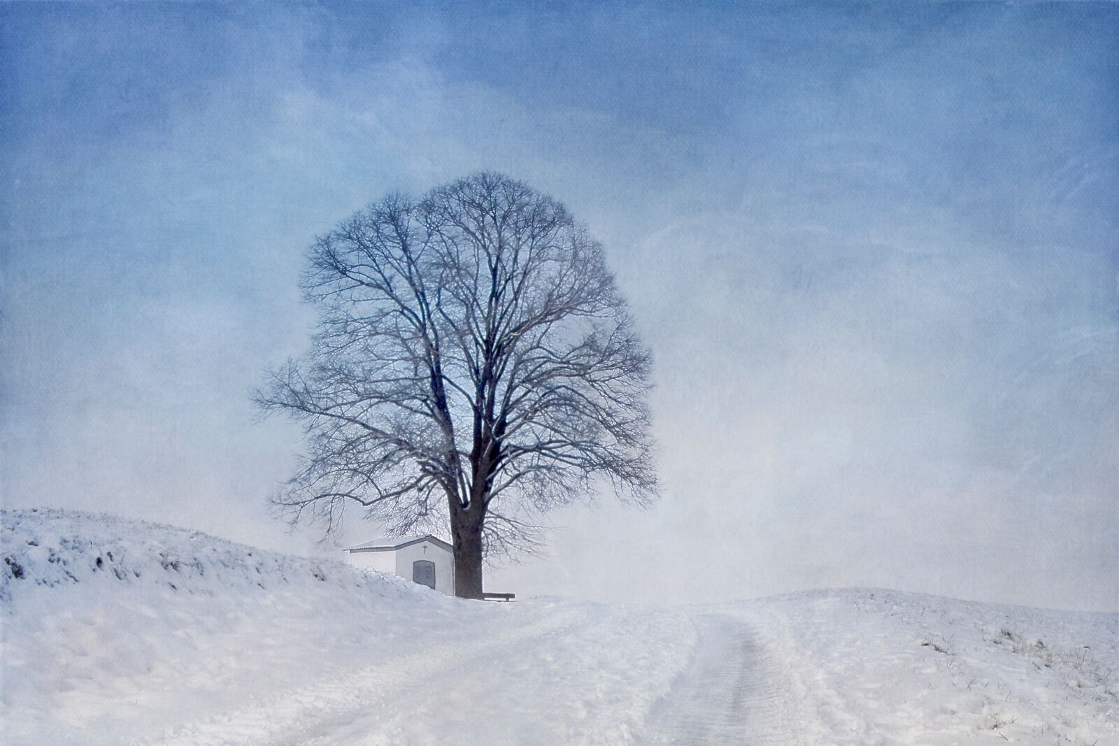 Canon EOS 50D sample photo. Snow, tree, chapel photography