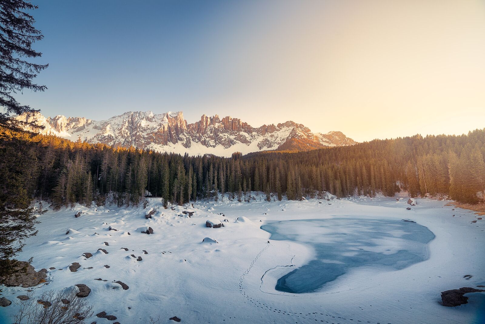 Nikon D800 sample photo. Cold, conifer, fir trees photography