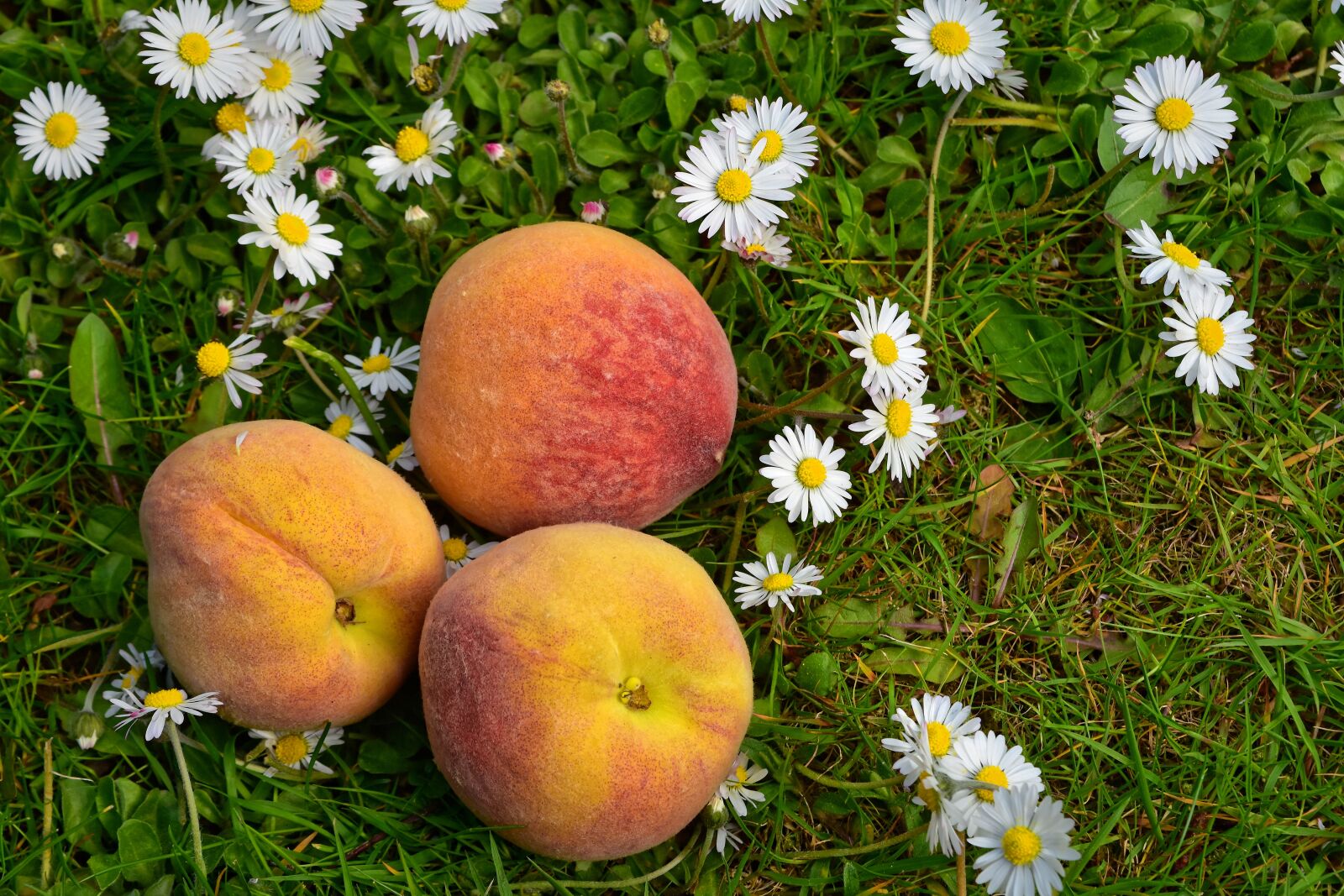 Nikon D7200 sample photo. Peaches, fruit, sweet photography
