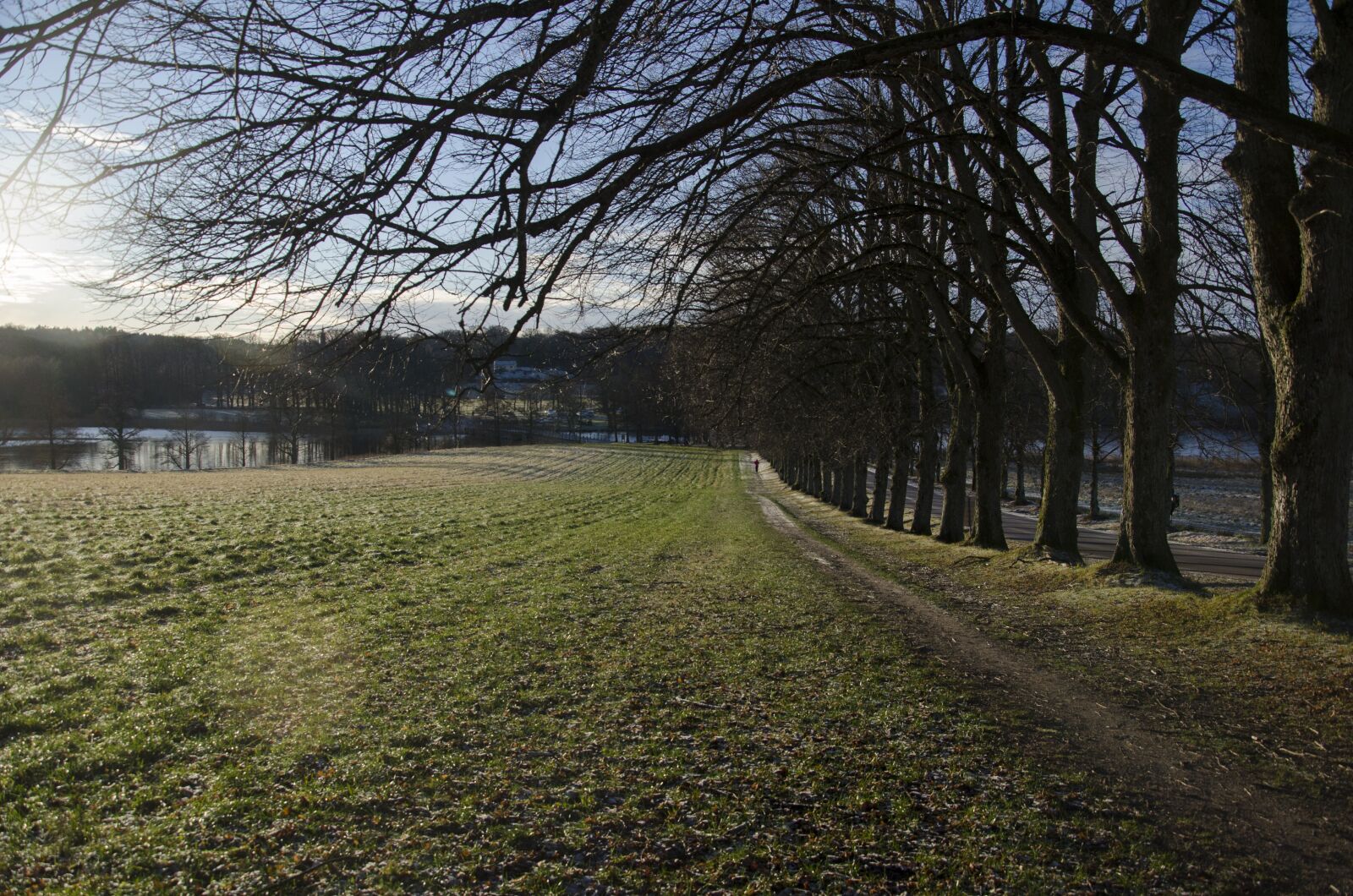 Nikon D7000 sample photo. N s castle, lerum photography