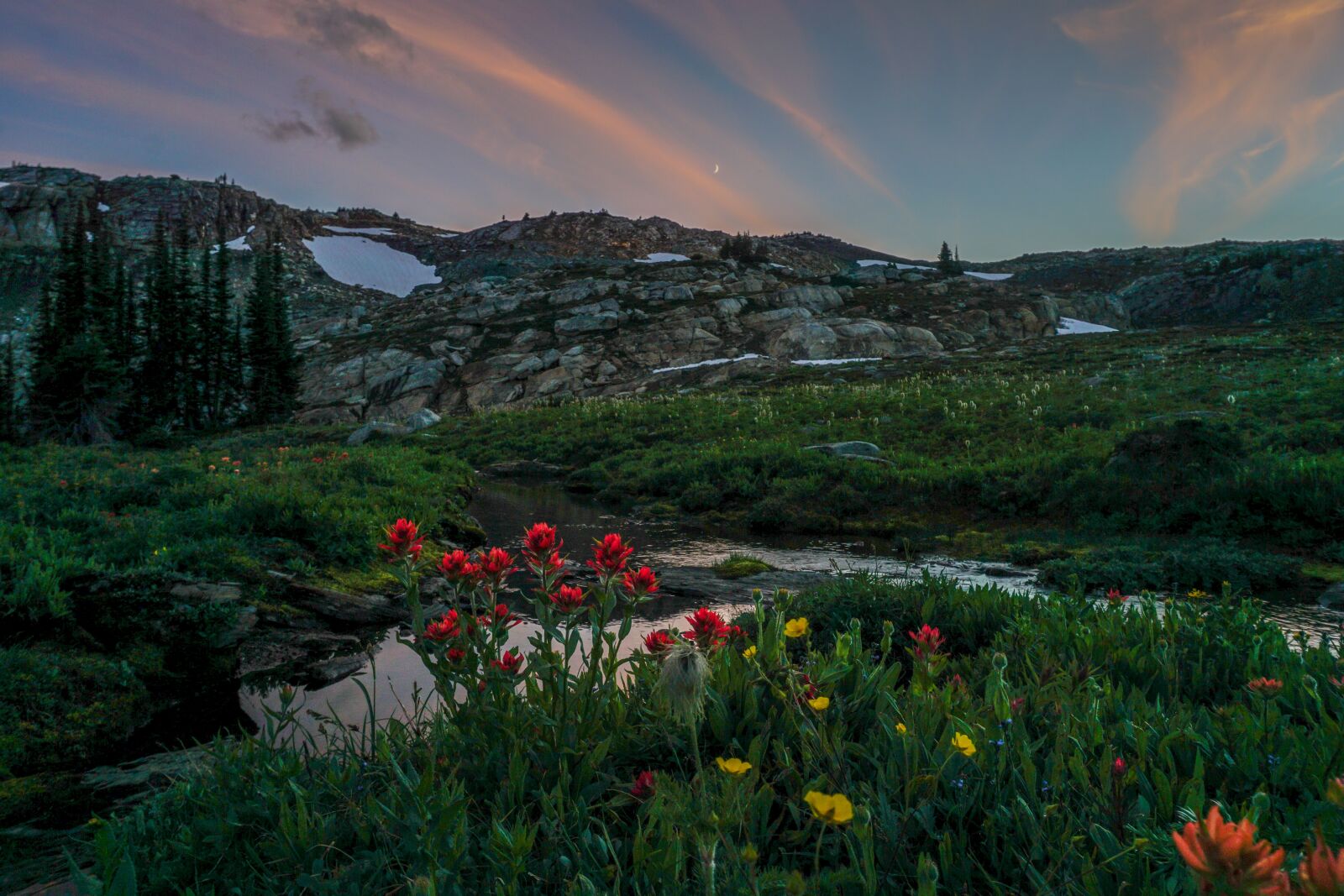 Sony a6000 sample photo. Mountains, nature, flowers photography
