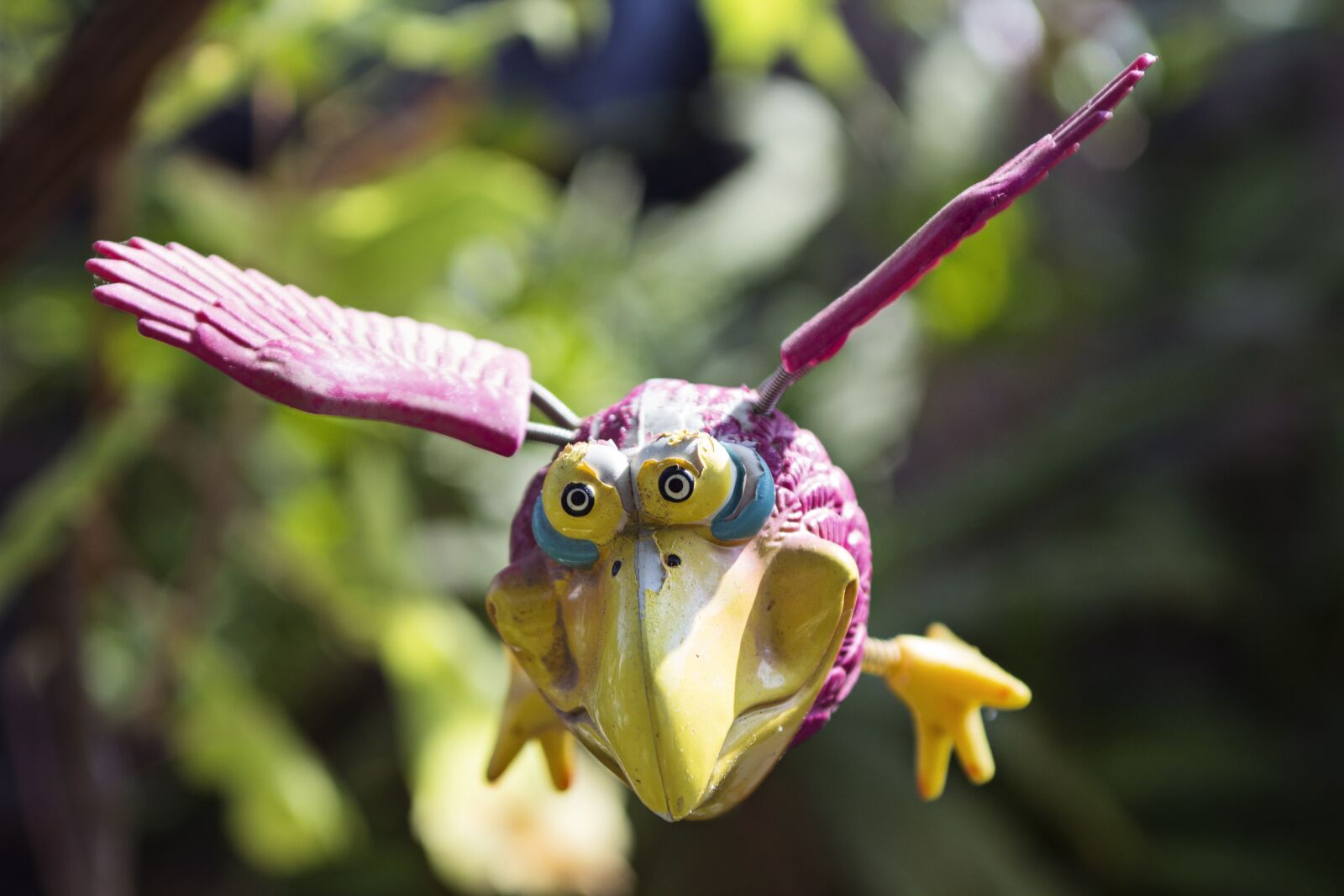 Canon EOS 60D sample photo. Bird, macro, fly photography