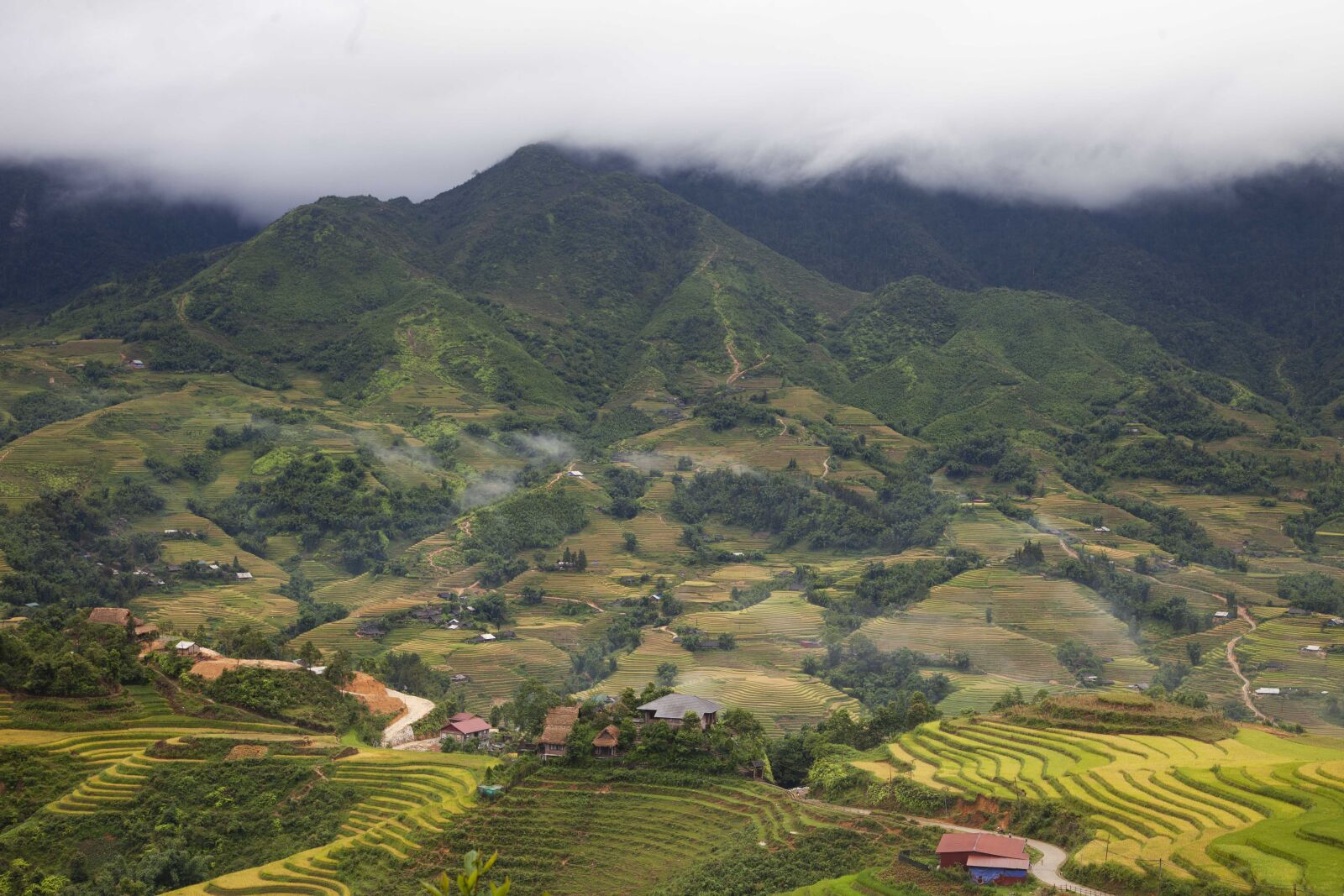 Canon EOS 5D Mark II sample photo. Rice-field, landscape, mountain photography