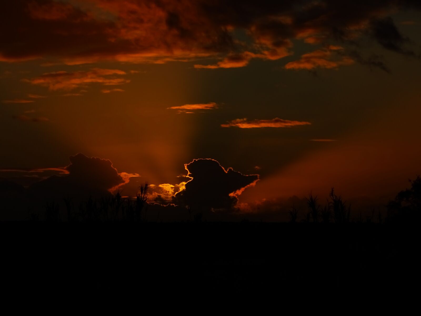 Sony Cyber-shot DSC-HX400V sample photo. Sunset, dusk, twilight photography