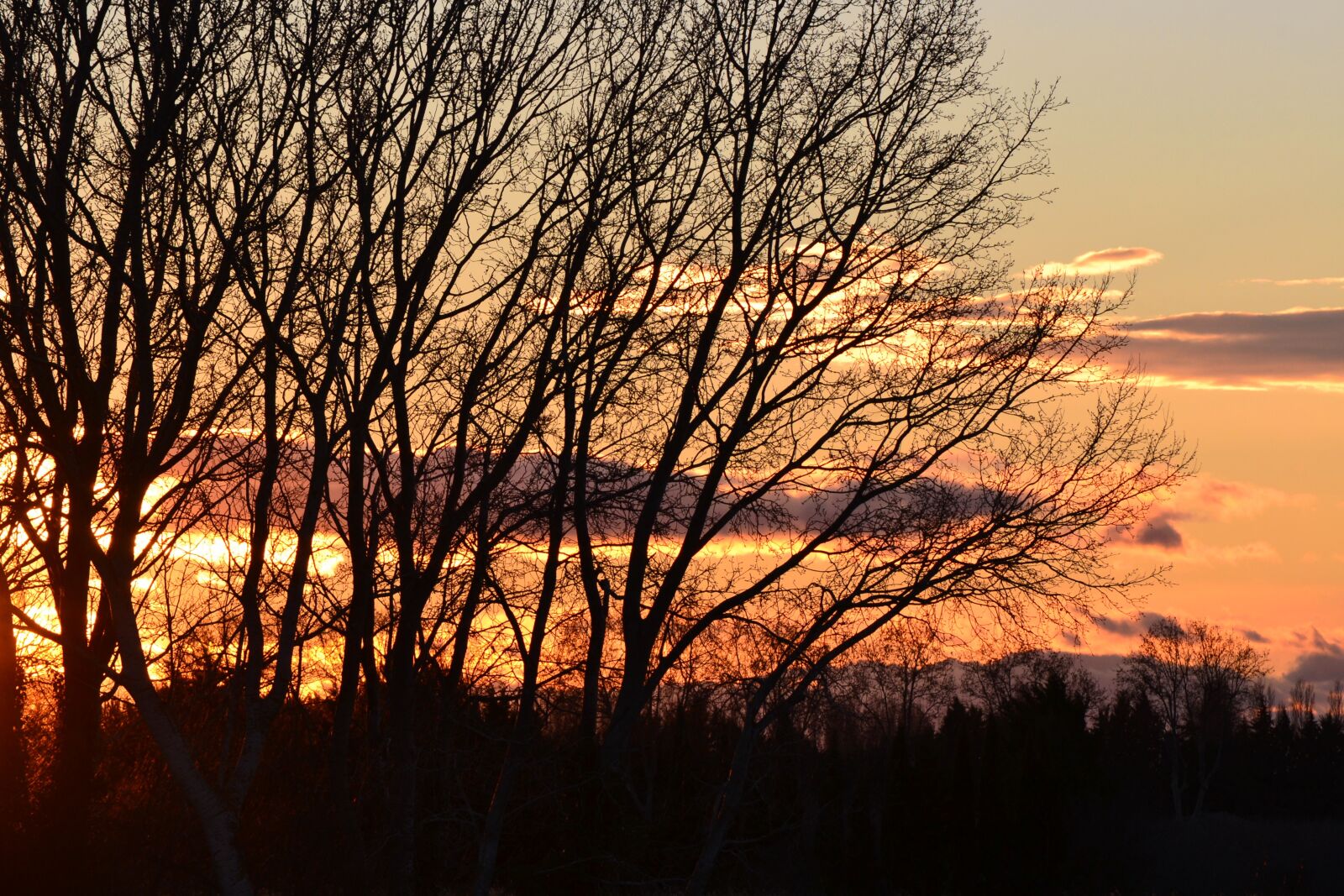 Nikon D3100 sample photo. Sunset, our beautiful region photography