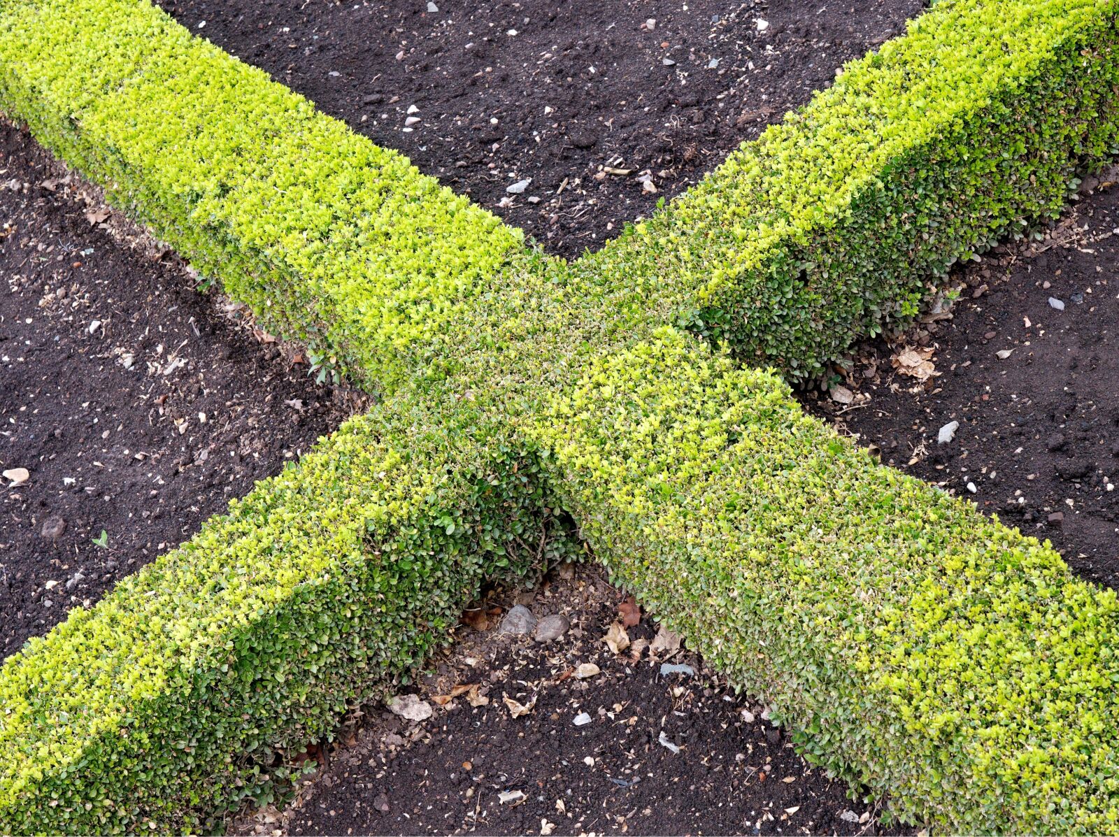 Olympus OM-D E-M5 sample photo. Cross, x, hedge photography