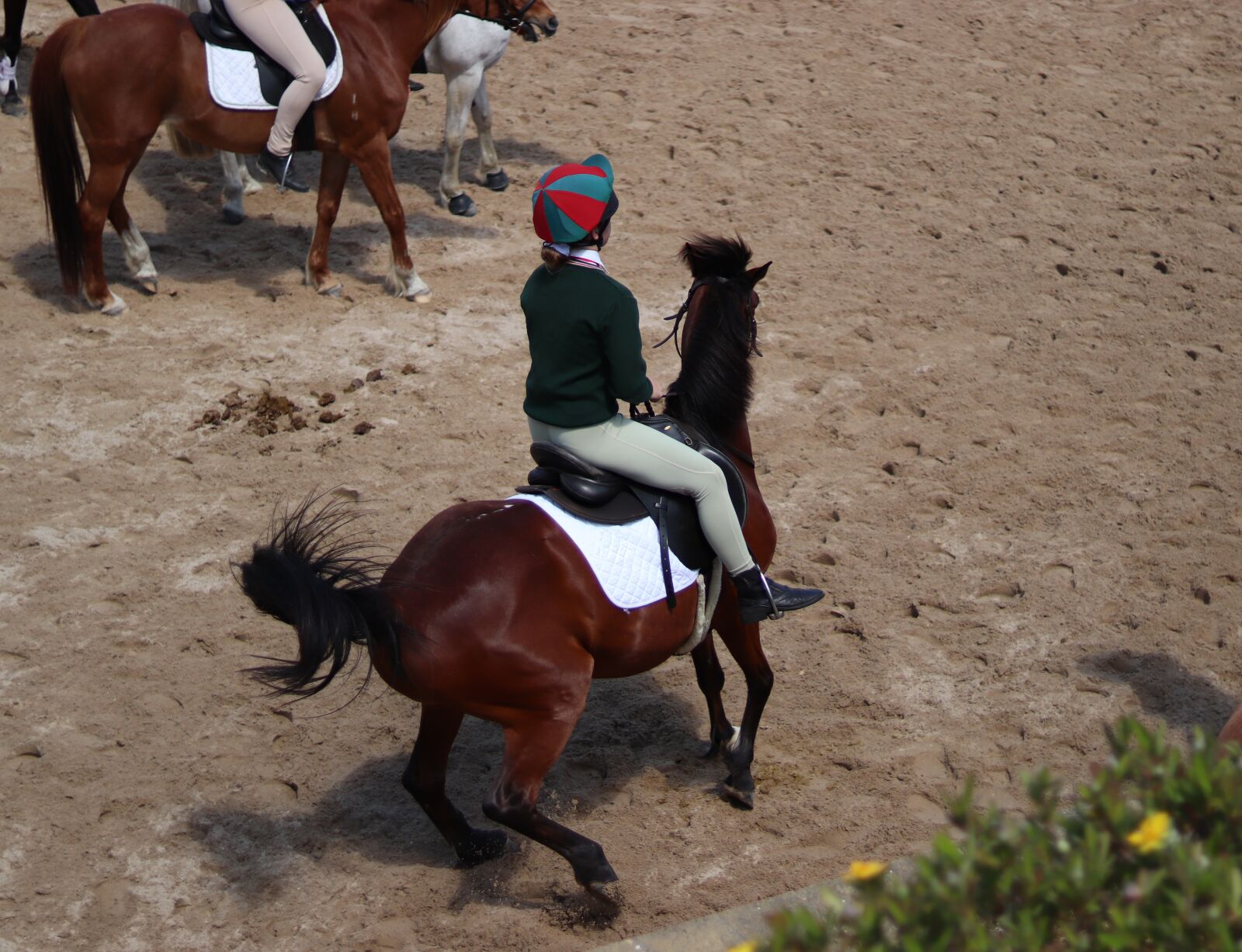 Canon EOS 200D (EOS Rebel SL2 / EOS Kiss X9) sample photo. Horse, race, event photography