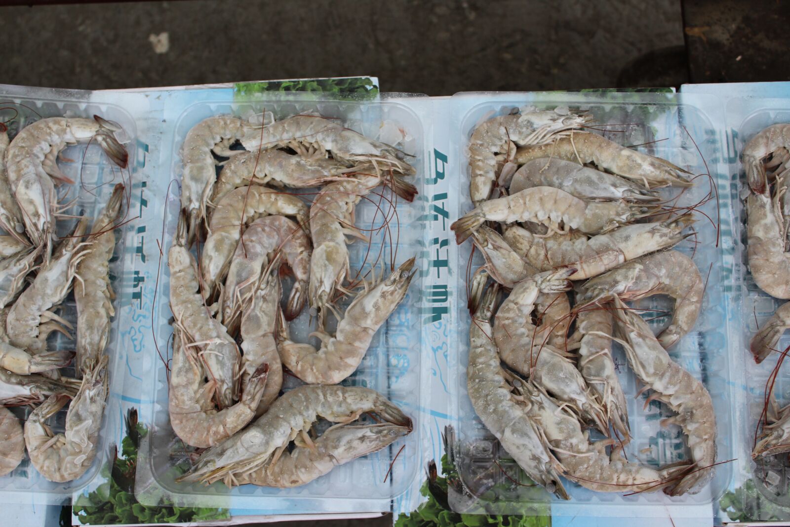 Canon EOS 1300D (EOS Rebel T6 / EOS Kiss X80) sample photo. Shrimp, prawns, frozen shrimp photography