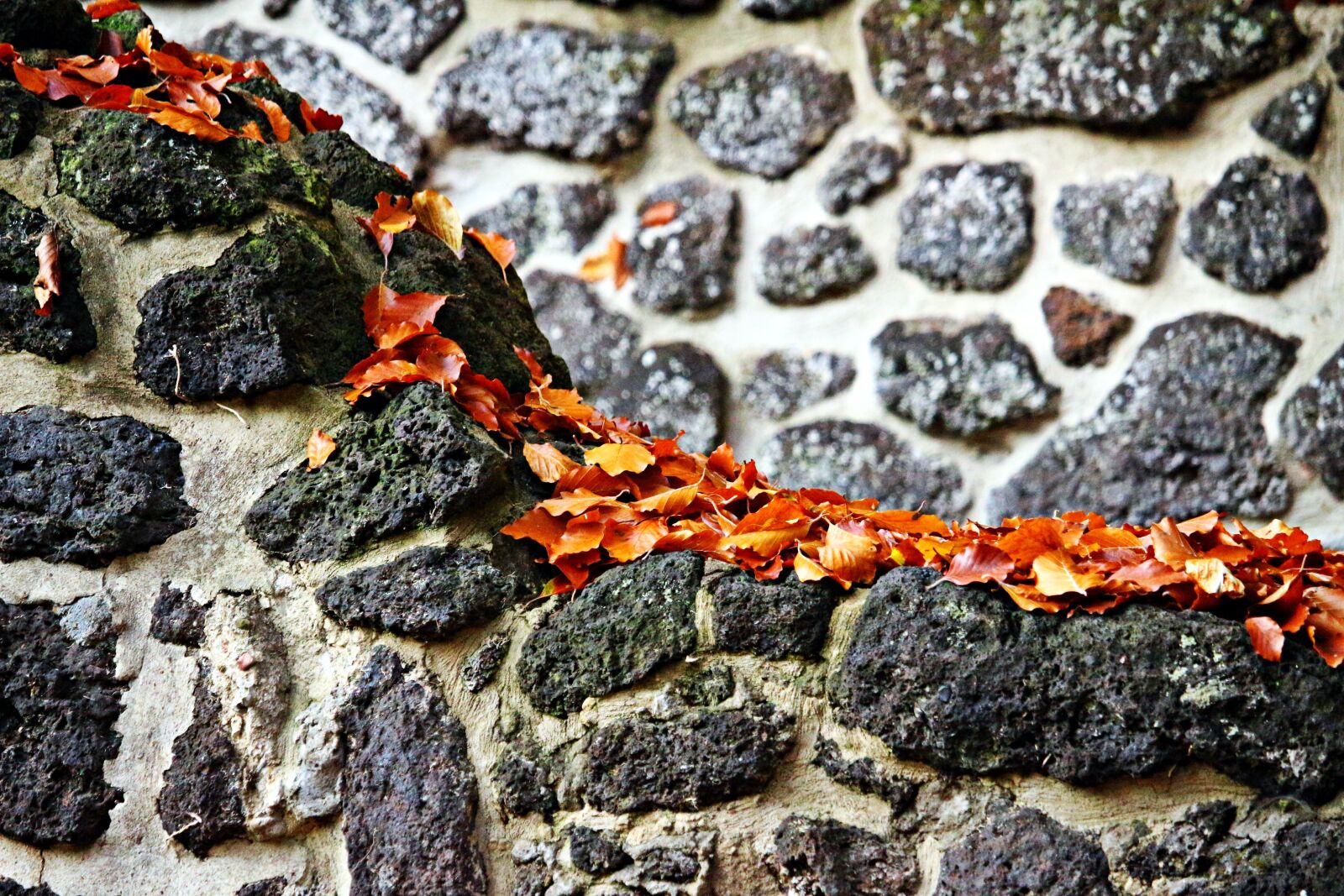 Canon EOS 100D (EOS Rebel SL1 / EOS Kiss X7) sample photo. Wall, feilenmoos, clumping stone photography