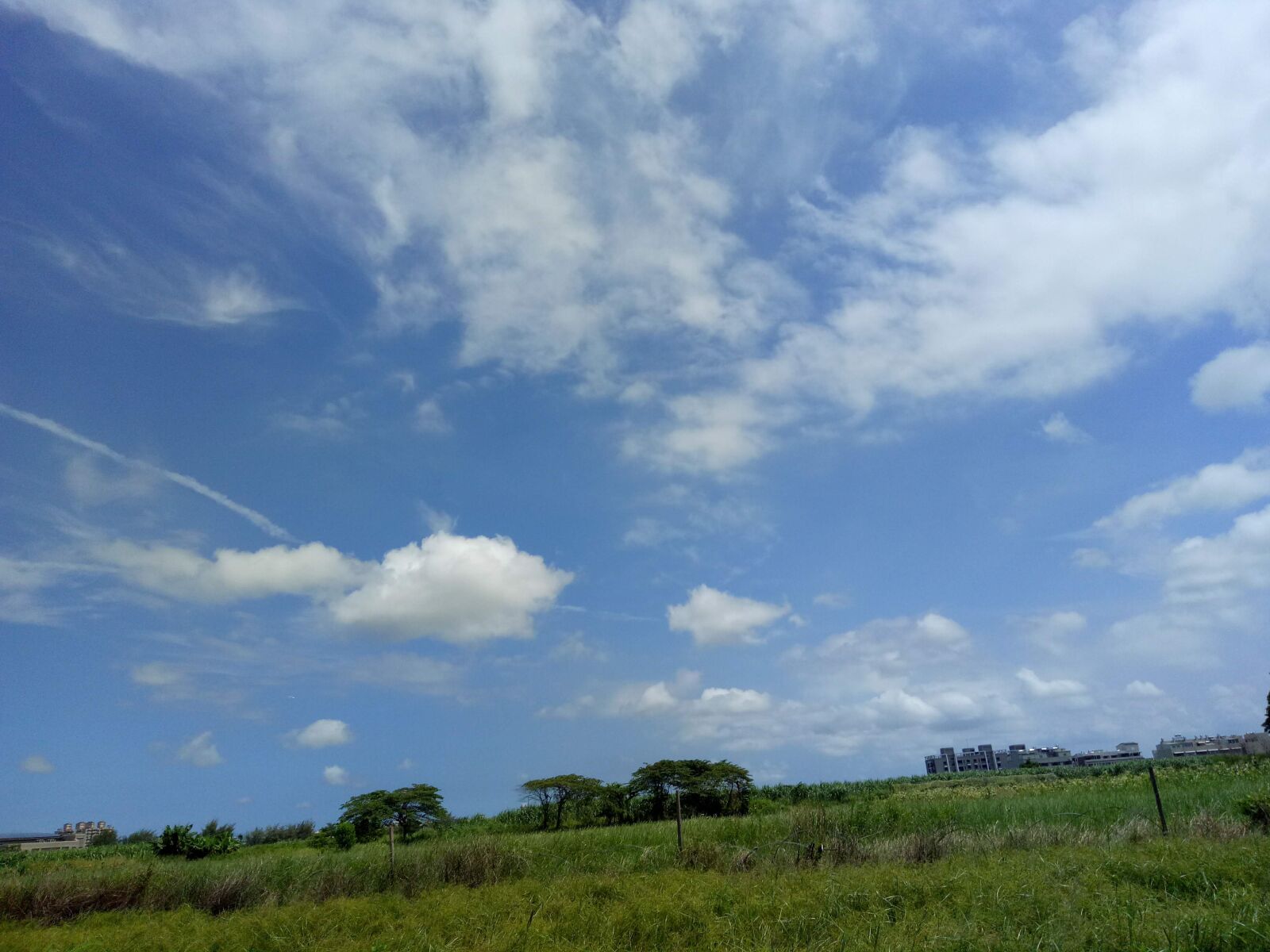 OPPO X9009 sample photo. 蔚藍的天空, 晴空, 草原 photography