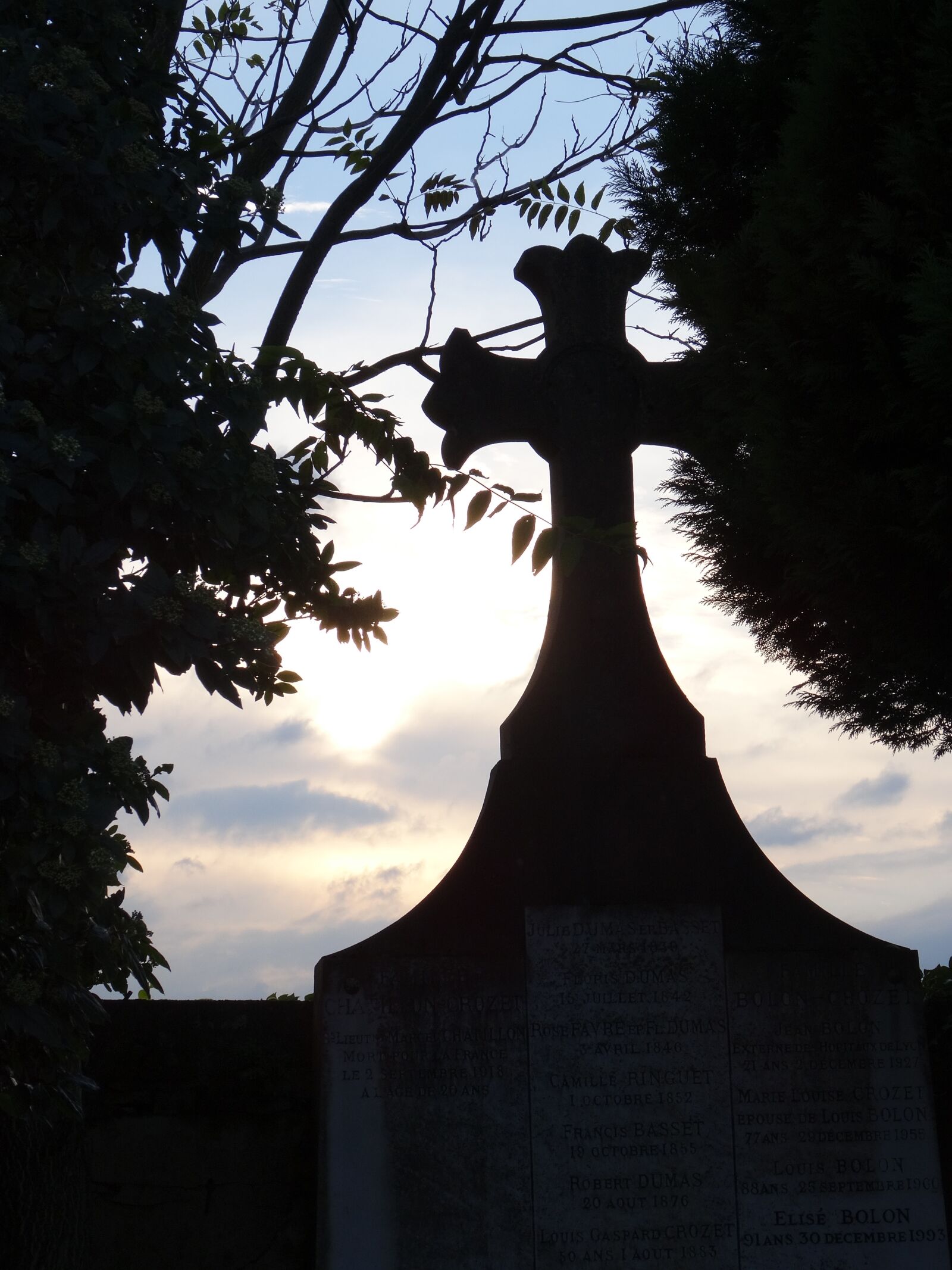 Sony DSC-HX50 sample photo. Cemetery, lyon, love loyalty photography
