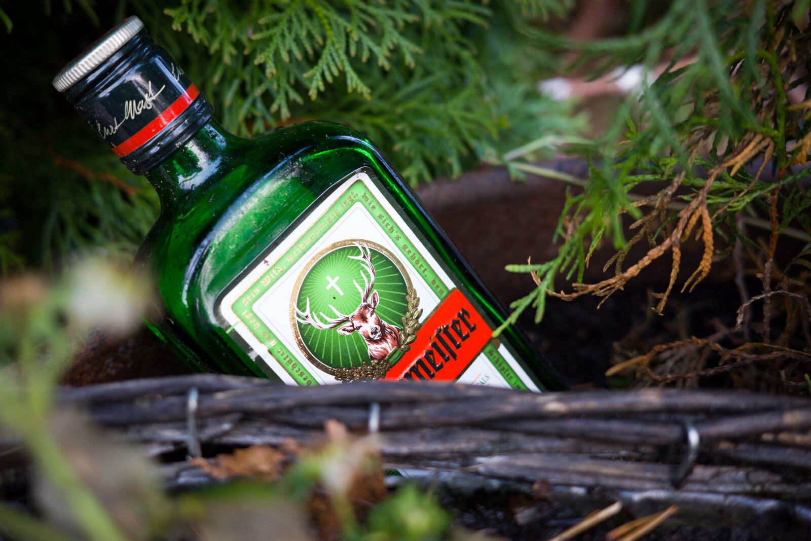Ricoh GR IIIx sample photo. Bottle o' littering photography