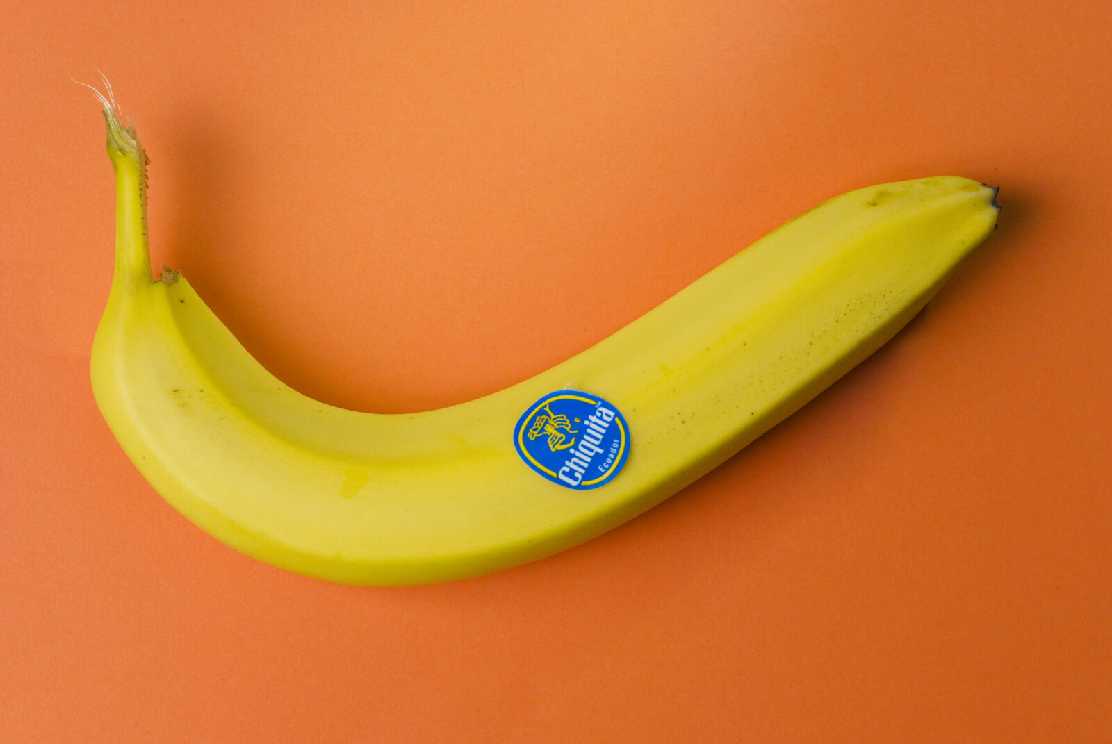 Nikon D60 sample photo. Banana, food, fruit, healthy photography