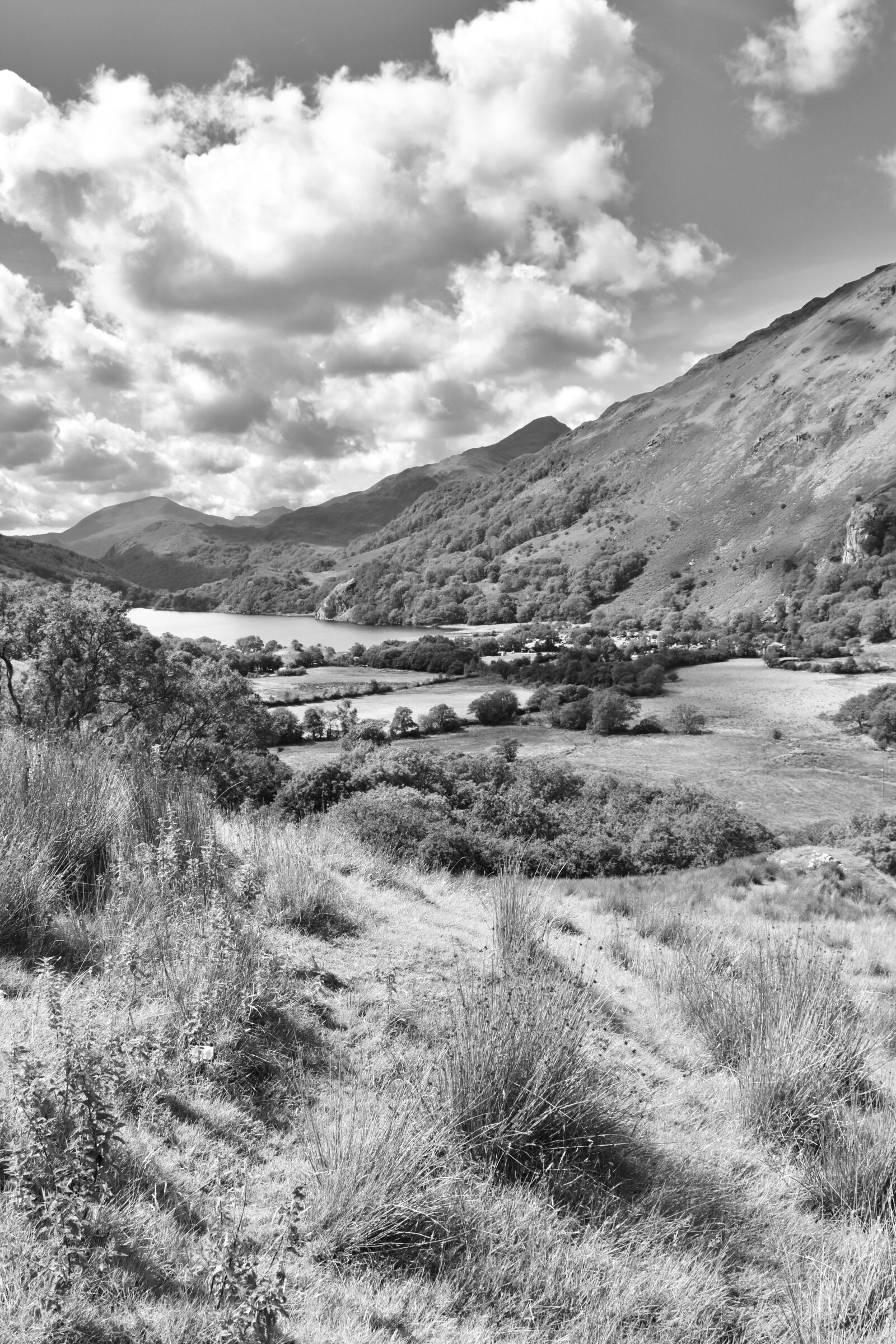 Nikon D5600 sample photo. Black white, countryside, wales photography