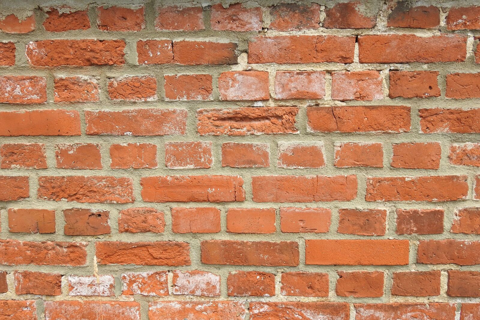 Nikon Coolpix P900 sample photo. Wall, bricks, red photography