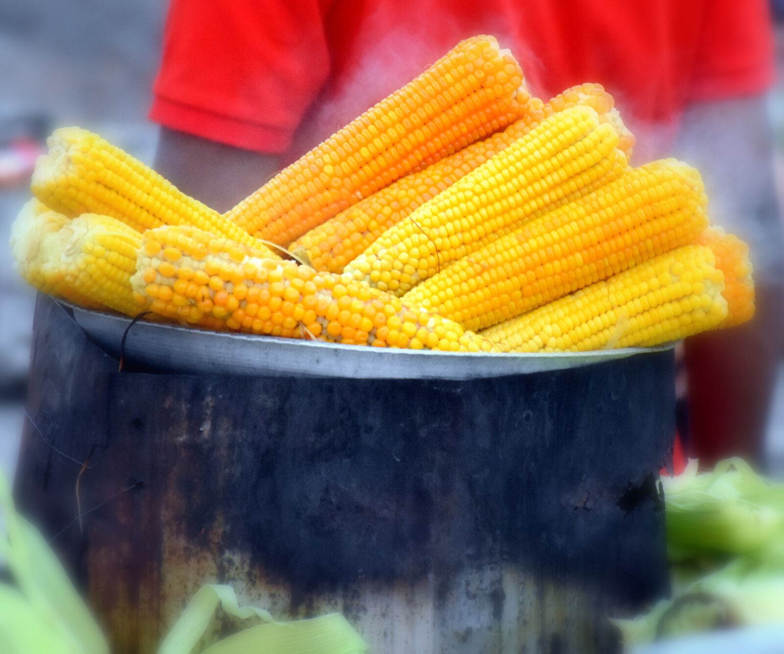 Nikon D5500 sample photo. Corn, traditional, sweet photography