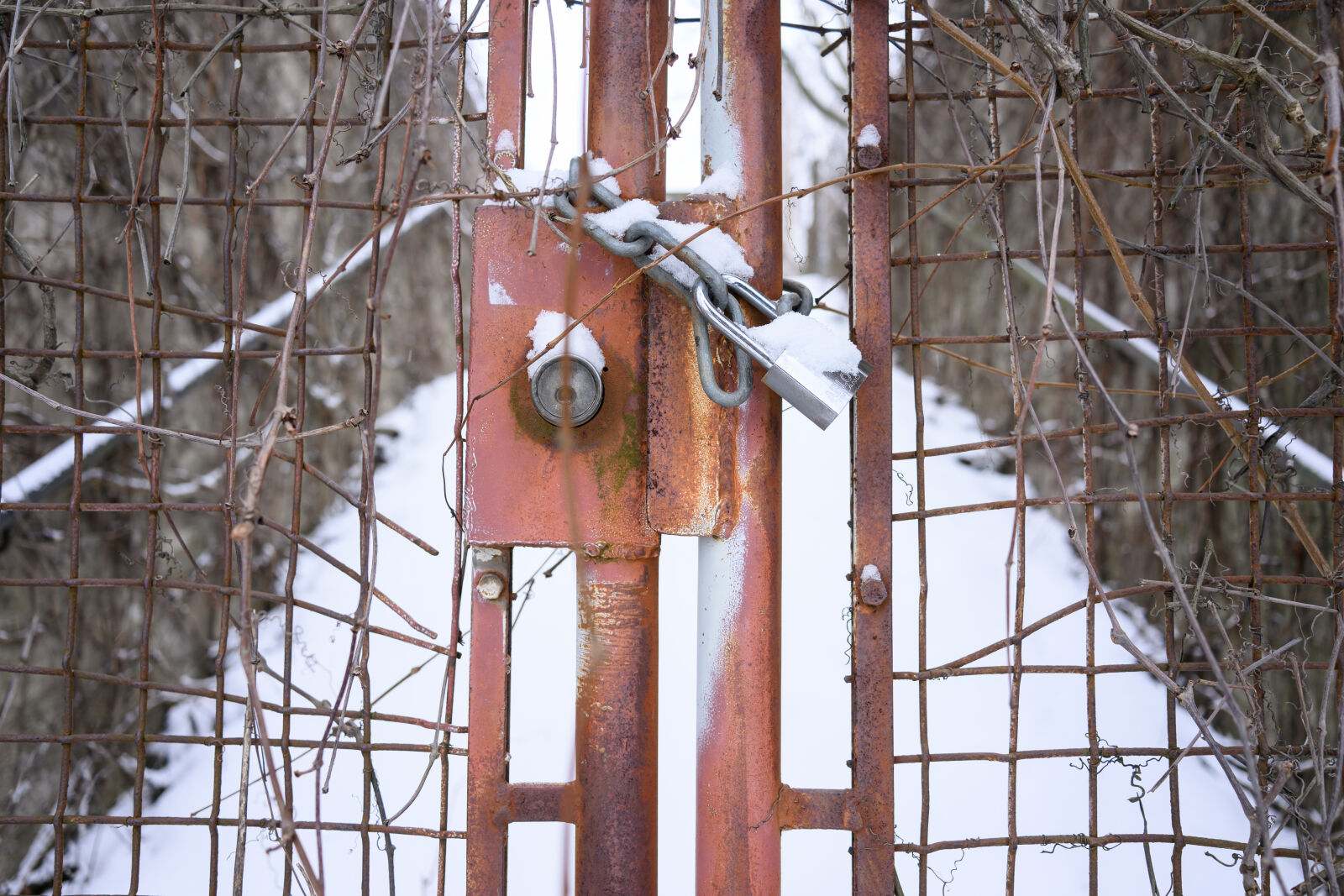 Nikon Nikkor Z 26mm F2.8 sample photo. Fence of snow photography