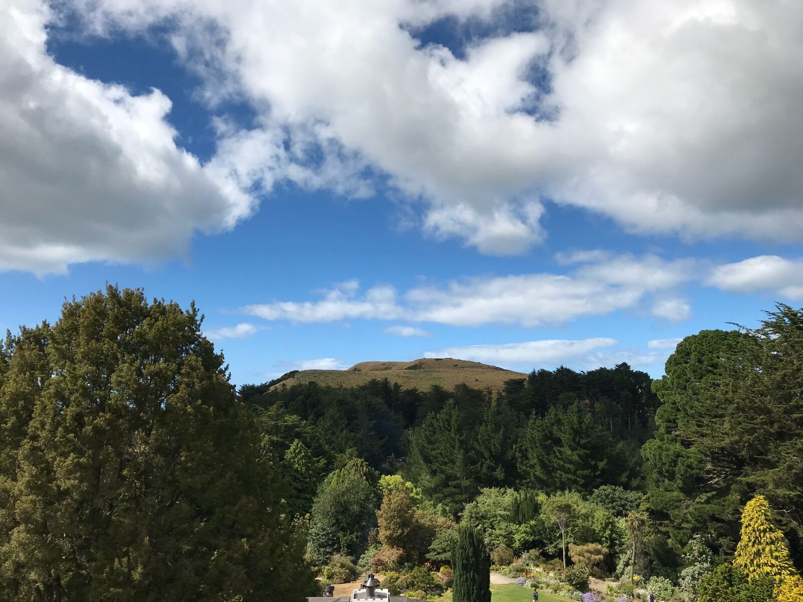 iPhone 7 back camera 3.99mm f/1.8 sample photo. The scenery, white cloud photography