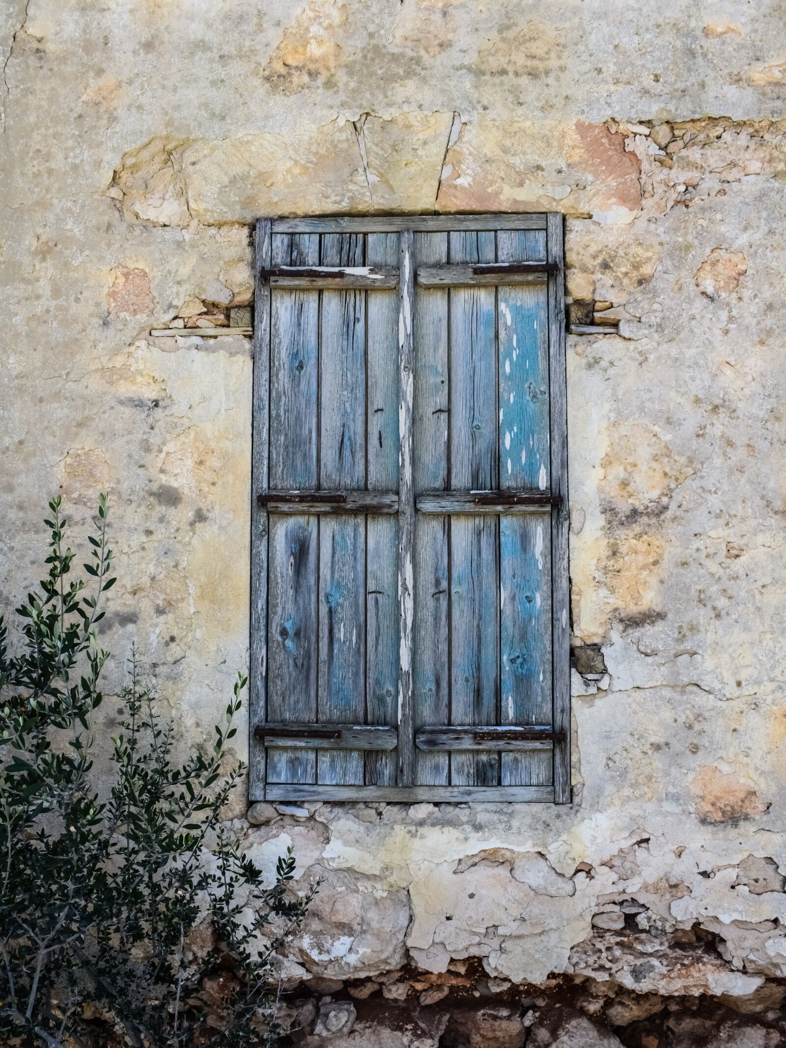 Nikon D3300 sample photo. Window, wooden, old photography