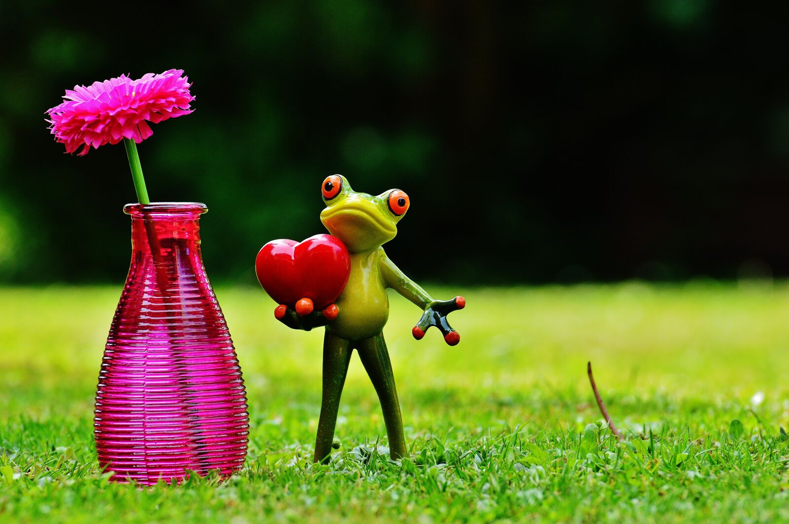 Nikon D3200 sample photo. Frog, love, valentine's day photography