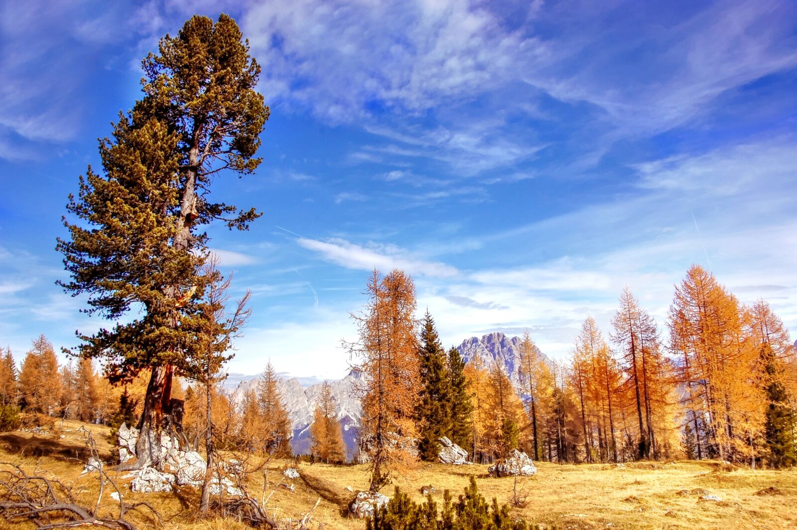 Nikon D40 sample photo. Indian summer, sorapis, dolomites photography