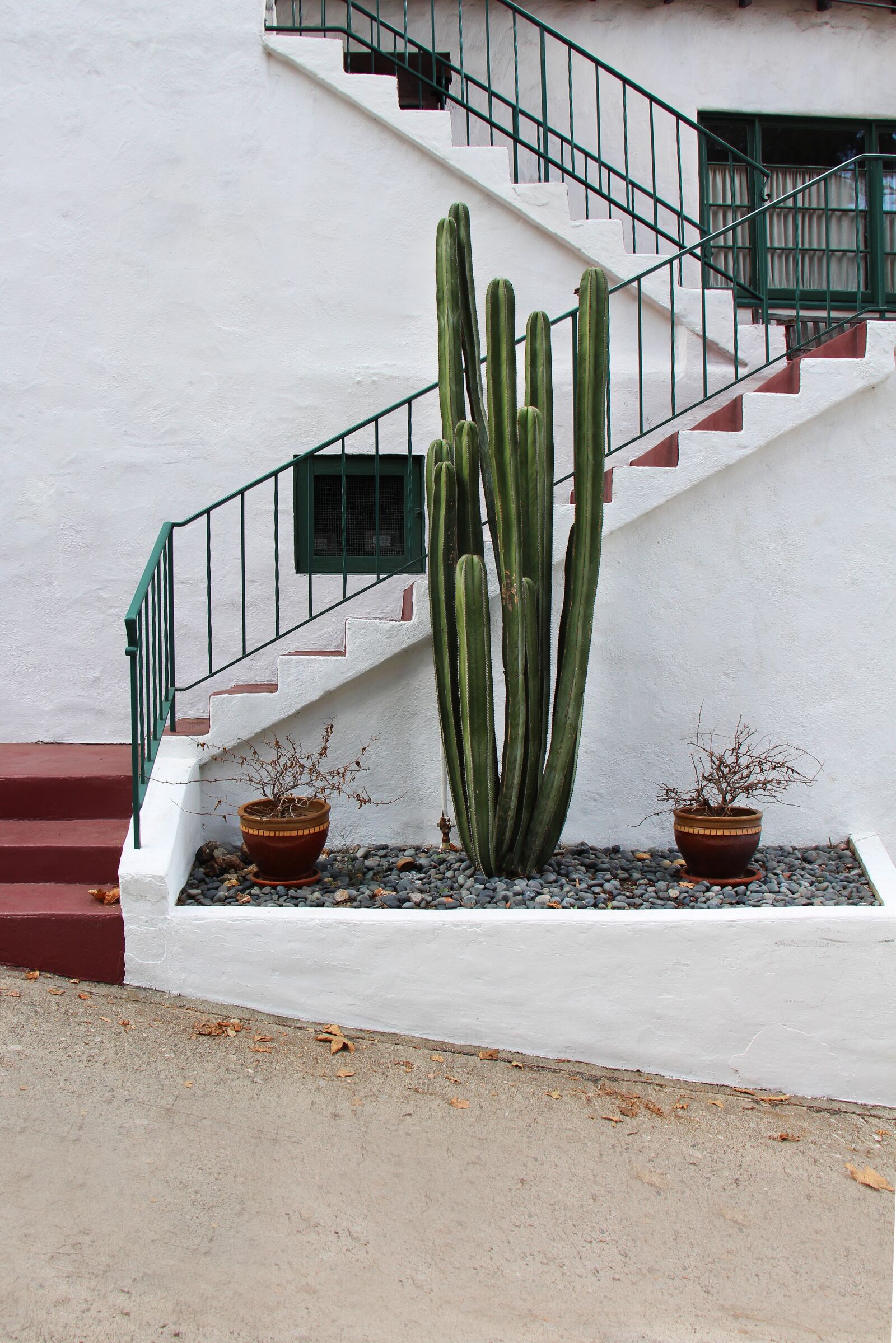 Canon EOS 700D (EOS Rebel T5i / EOS Kiss X7i) sample photo. Cactus, stairs, house entrance photography