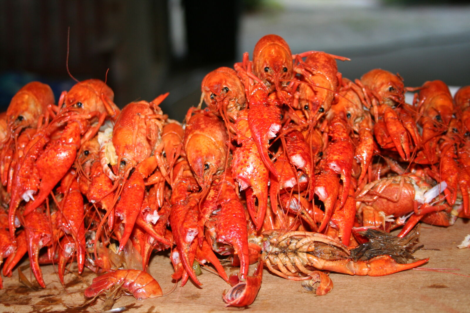 Canon EOS 350D (EOS Digital Rebel XT / EOS Kiss Digital N) sample photo. Crawfish, boil, louisiana photography