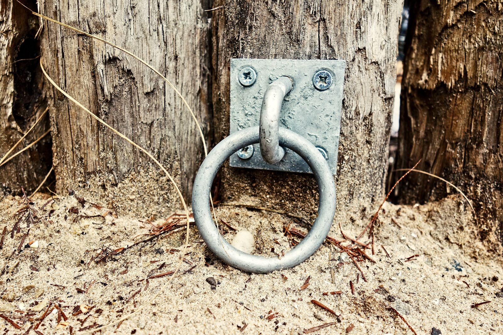 Sony Cyber-shot DSC-RX100 sample photo. Ring, iron ring, fastening photography