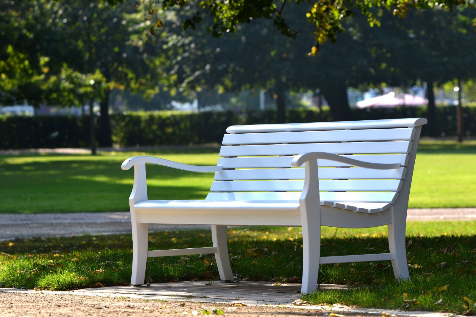 Nikon D3100 sample photo. Park, bank, sit photography