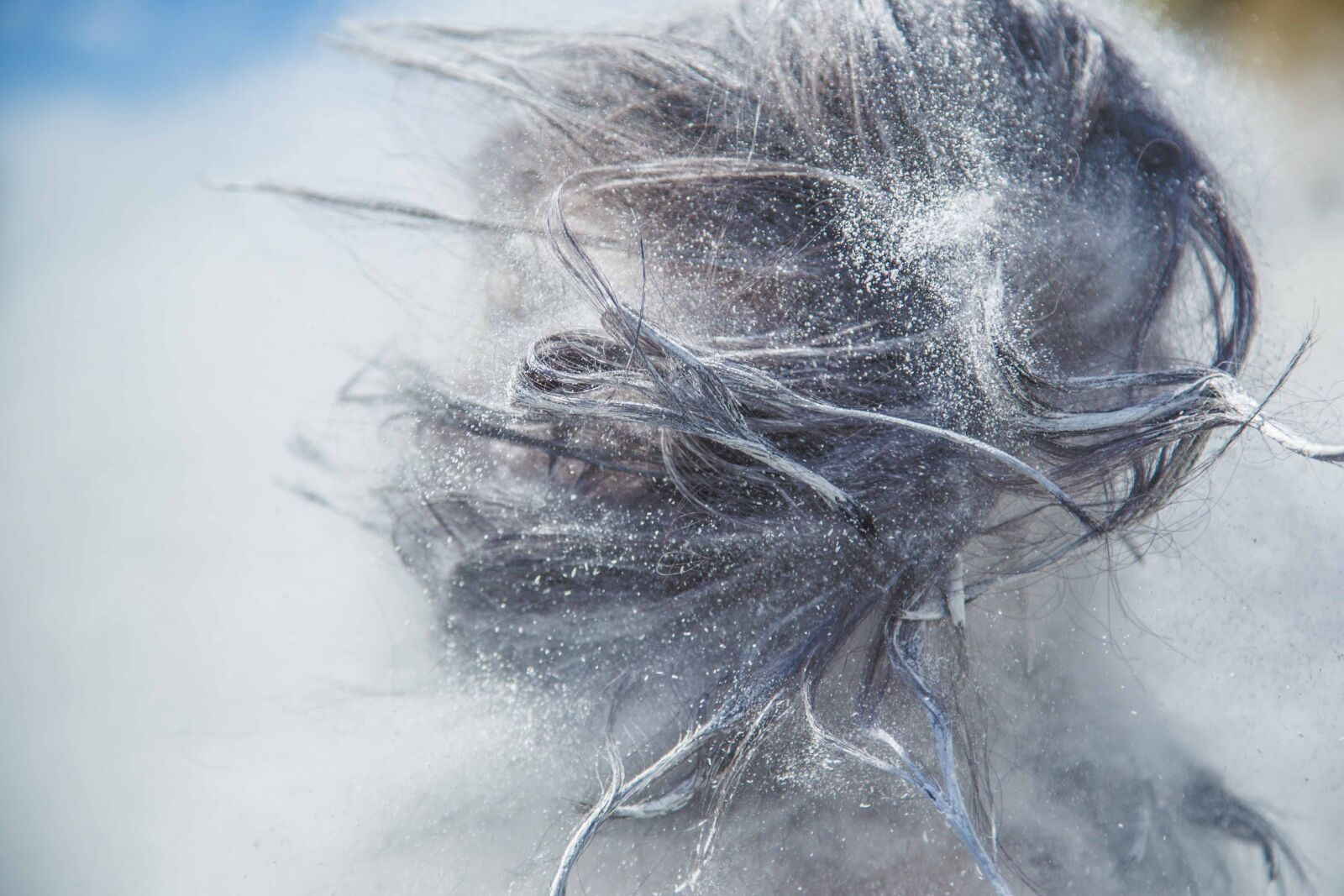 Canon EF 24-105mm F4L IS USM sample photo. Art, flour, hair photography