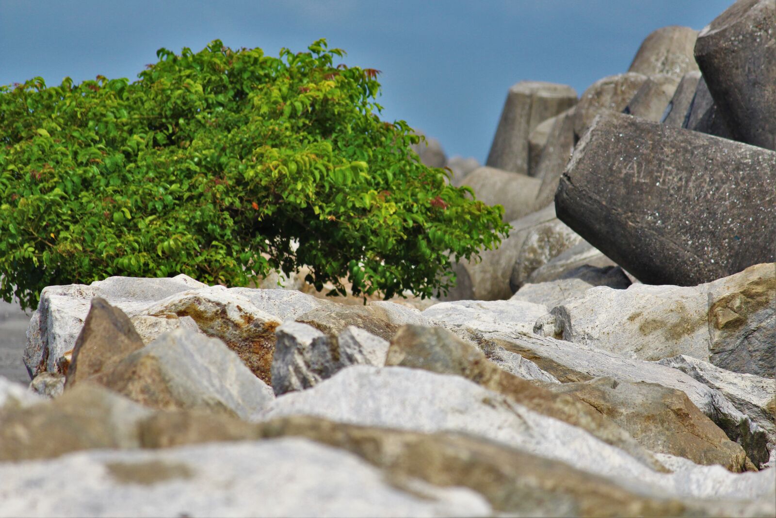 Canon EOS 700D (EOS Rebel T5i / EOS Kiss X7i) sample photo. Scenic, view, of, stone photography