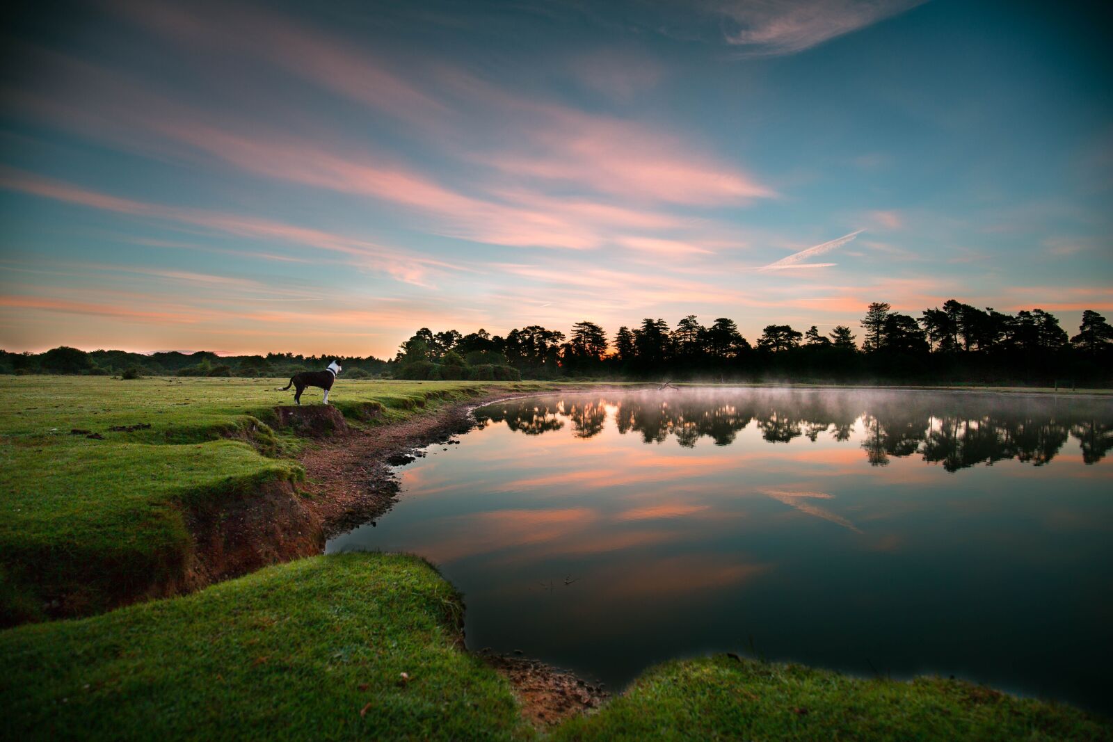 Canon EF 16-35mm F4L IS USM sample photo. Lake, dog, sunrise photography