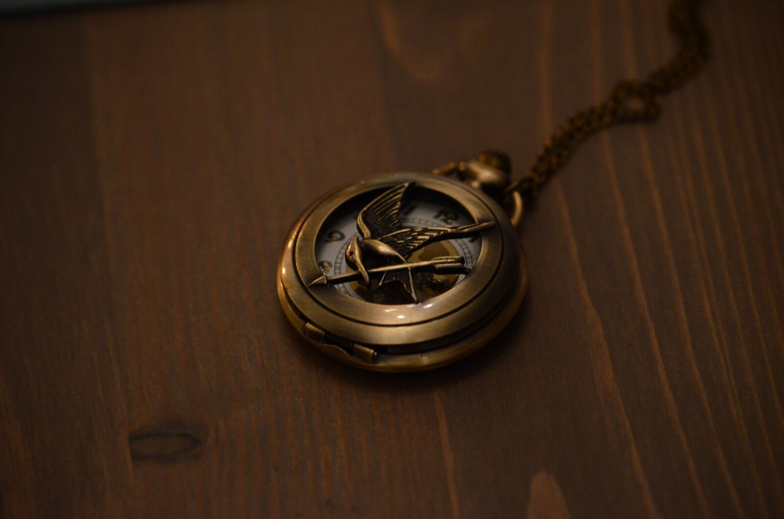 Nikon D5100 sample photo. Pocket watch, gold, bird photography
