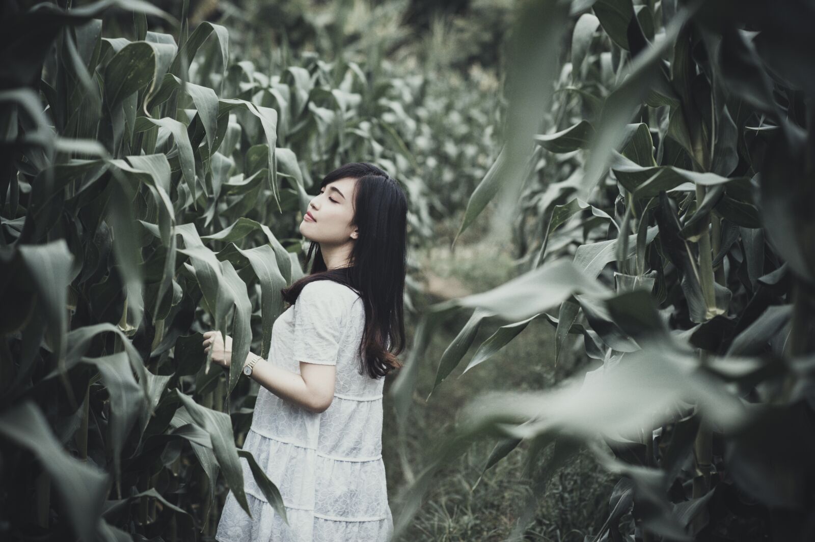 Nikon D700 sample photo. Girl, female, fashion photography