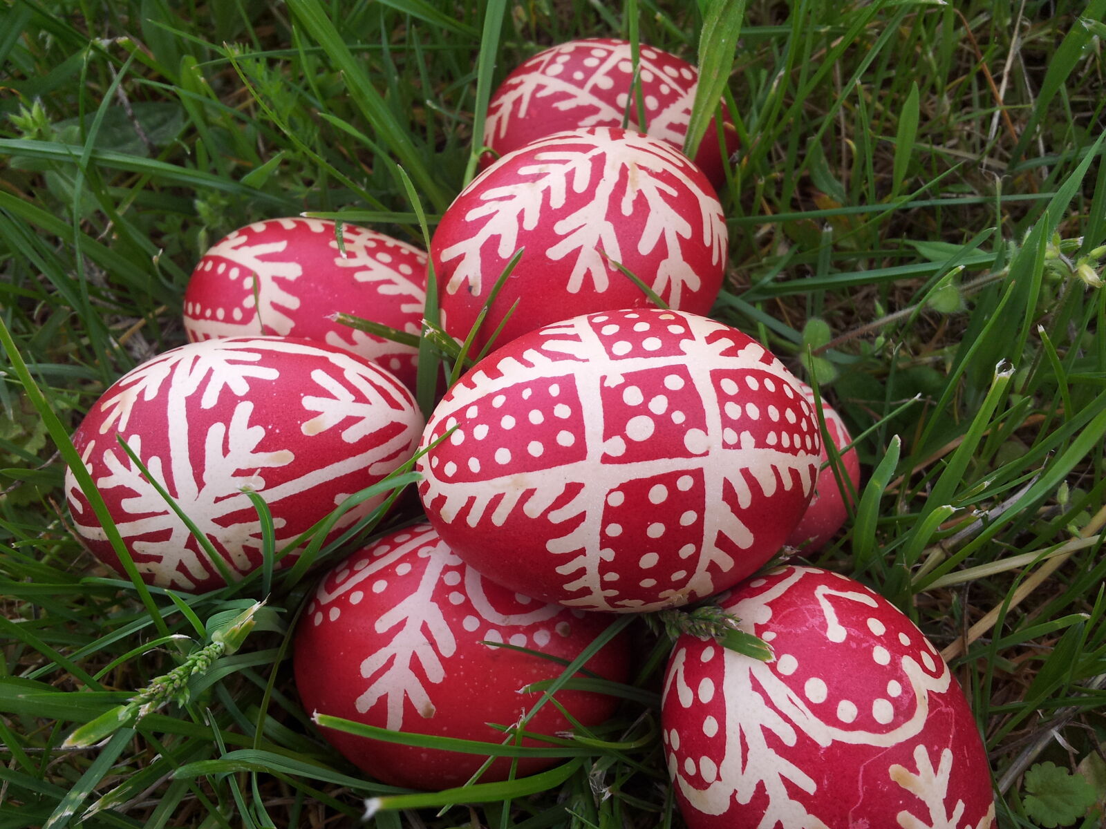 Samsung Galaxy S2 sample photo. Easter, countryside, eggs photography