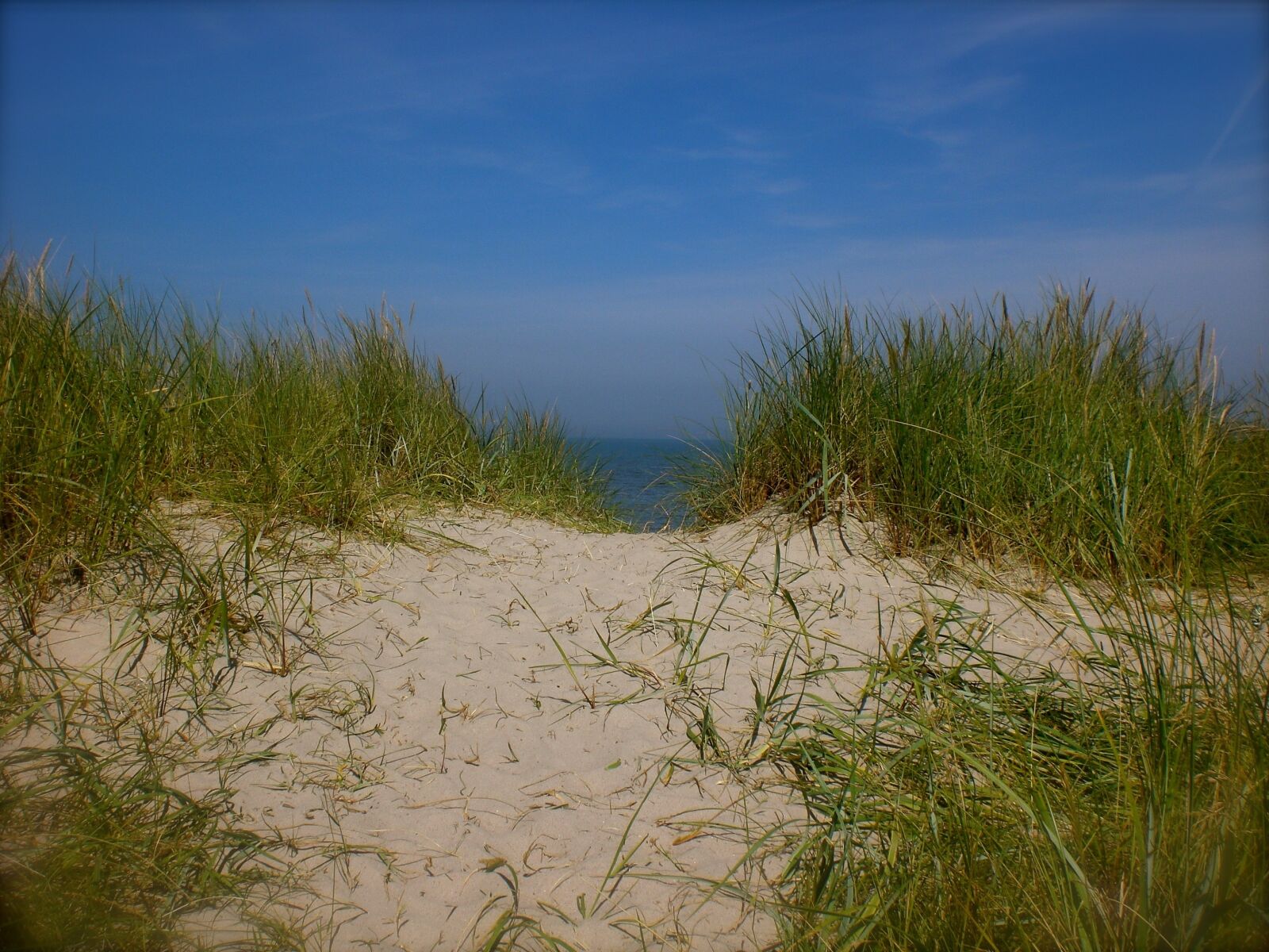 CASIO EX-Z75 sample photo. Sea, dunes, dune grass photography
