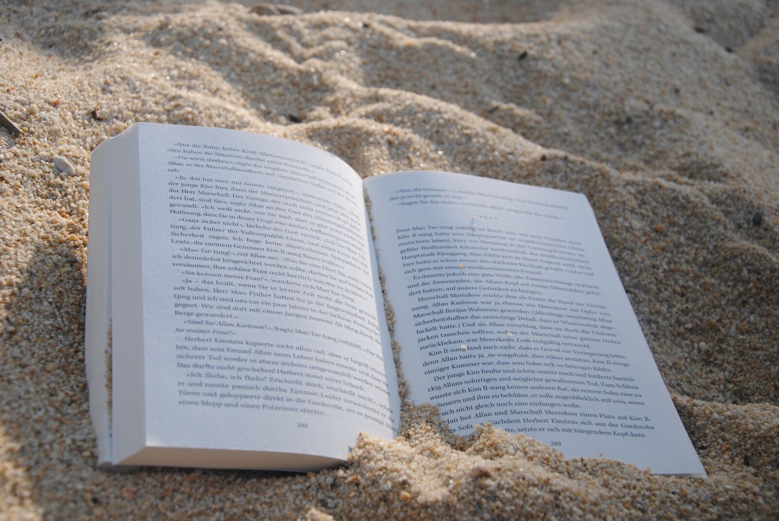Nikon D3000 sample photo. Book, read, literature photography