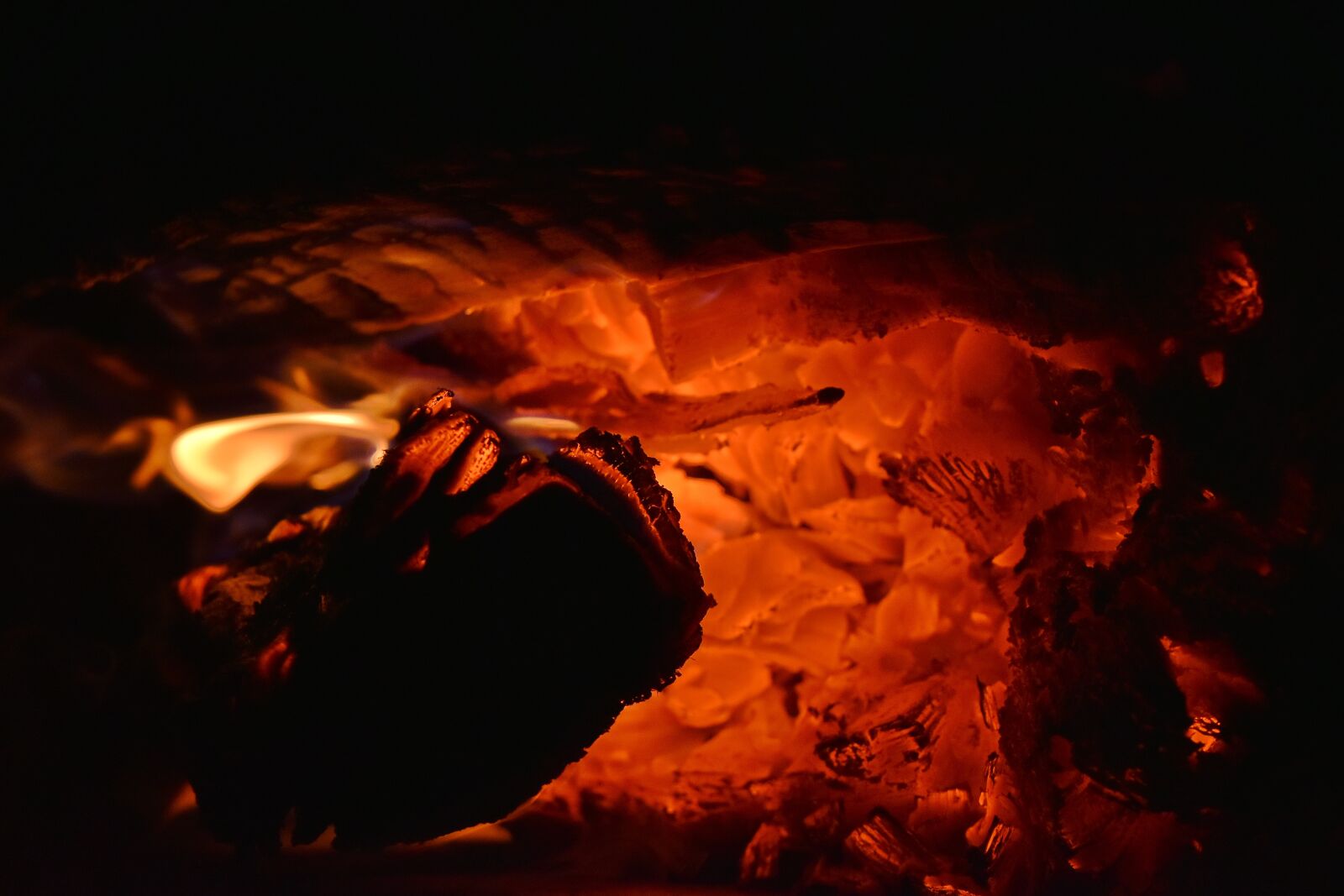 Nikon D5500 sample photo. Flame, hot, bonfire, campfire photography