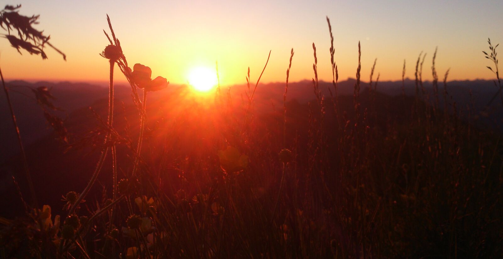 Sony Xperia V sample photo. Sunrise, sunset, abendstimmung photography