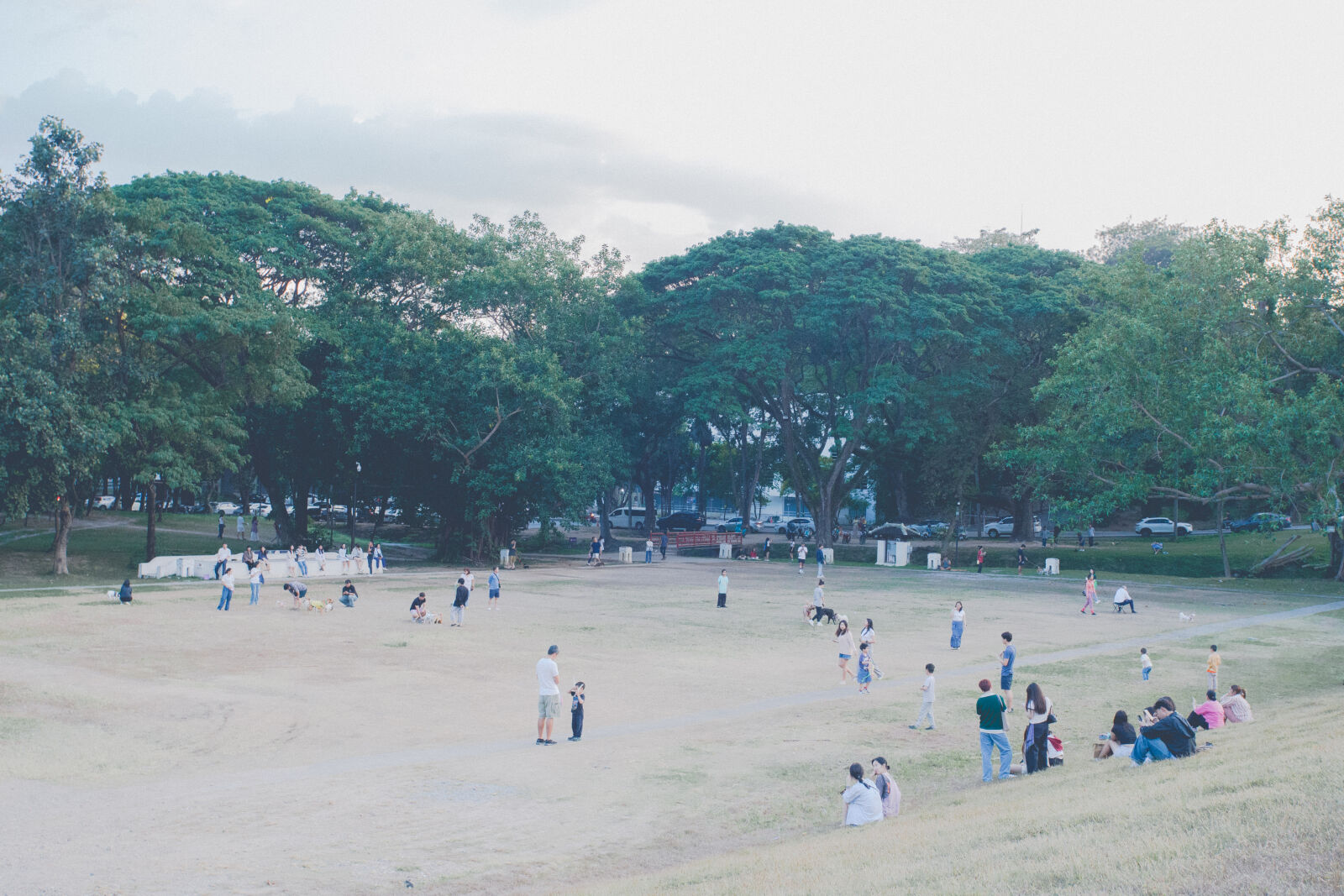 Canon EOS 6D sample photo