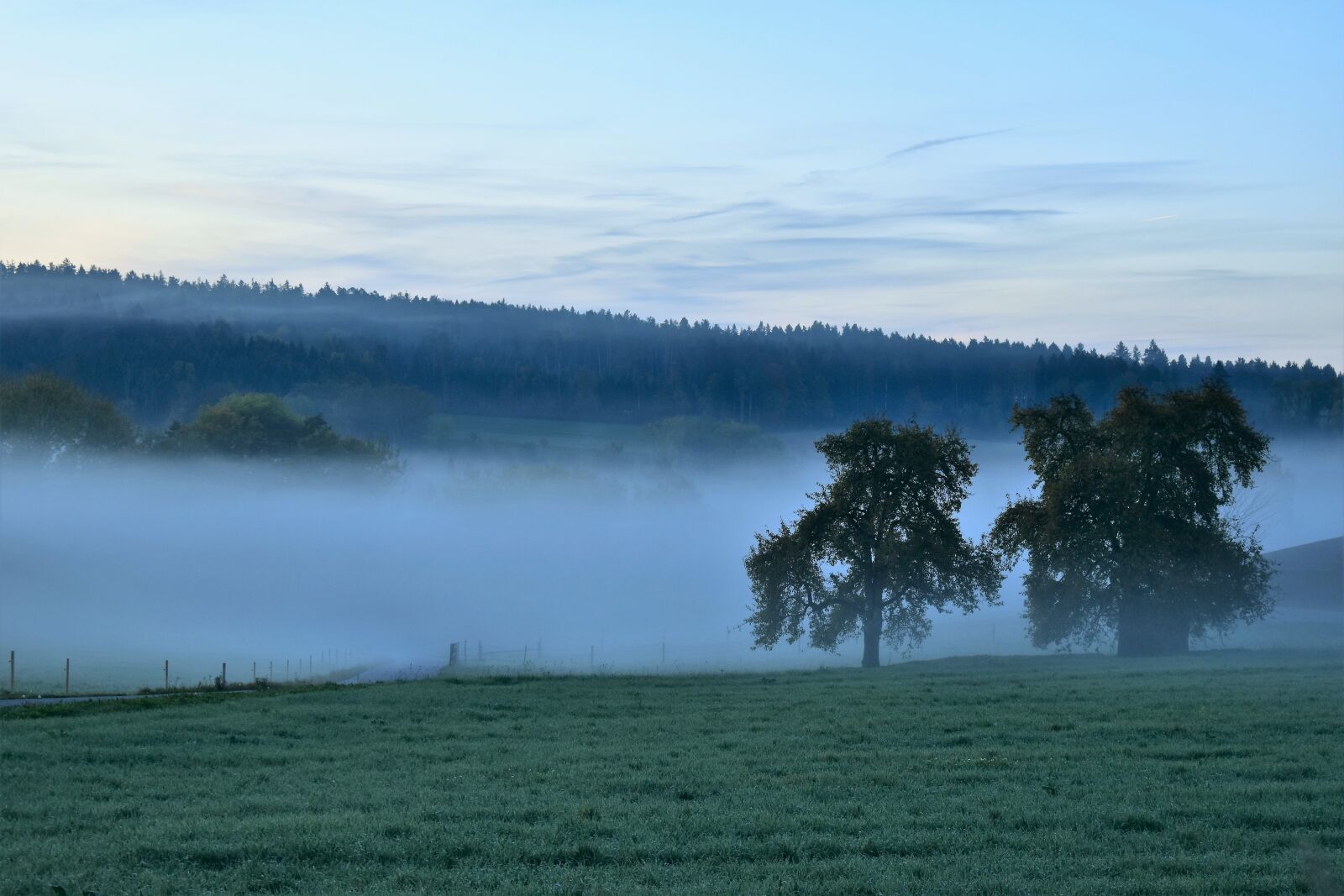 Nikon D5500 sample photo. Landscape, fog, morning photography