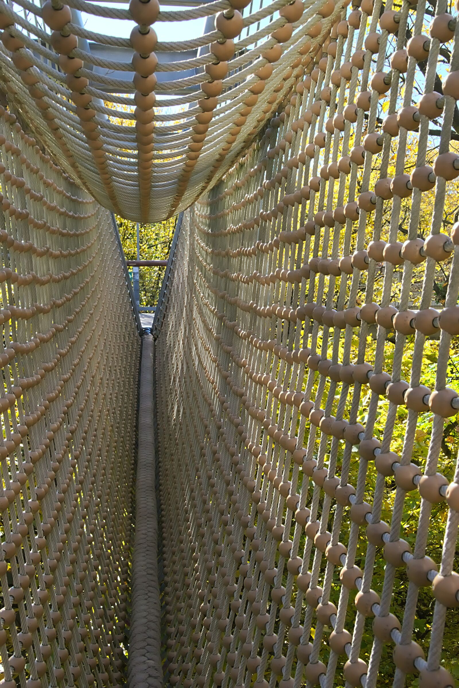 Nikon D3300 sample photo. Suspension bridge, tree crown photography