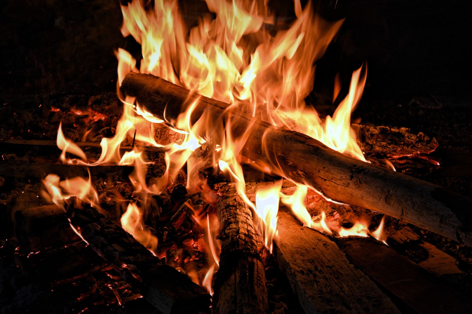 Nikon D5200 sample photo. Bonfire, during, nightime photography