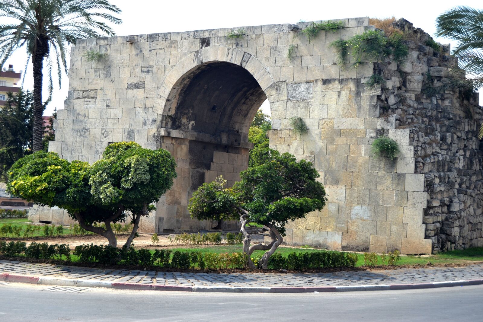 Nikon D3100 sample photo. Tarsus, cleopatra, door photography