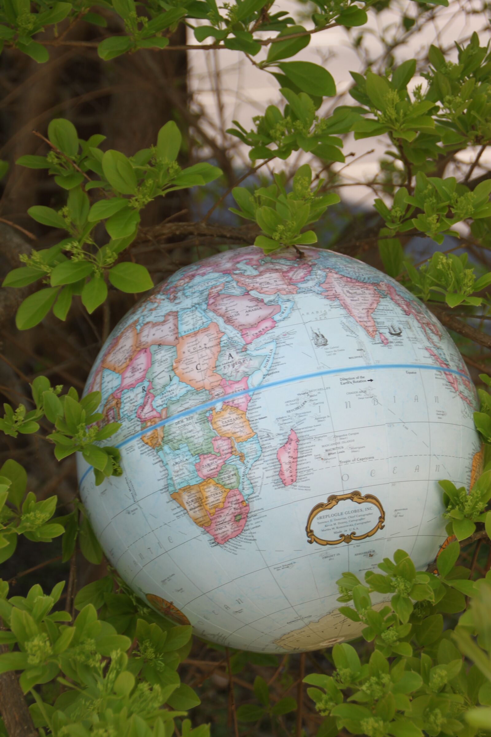 Canon EOS 500D (EOS Rebel T1i / EOS Kiss X3) sample photo. Earth, earth day, planet photography